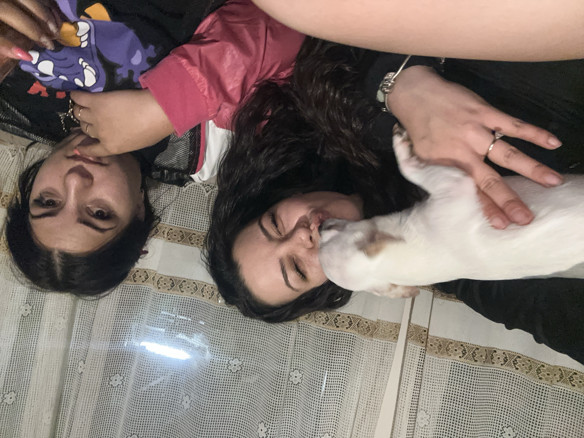 Two women and a white puppy are in a room with lace curtains. The woman on the left is holding the puppy, which is licking her face. She is wearing a black shirt and a pink jacket. The woman on the right is wearing a black t-shirt with a purple dragon graphic. She has her finger in her mouth. The room appears to be a bedroom. The context of Chubra, Bulgaria is not ascertainable from the image.