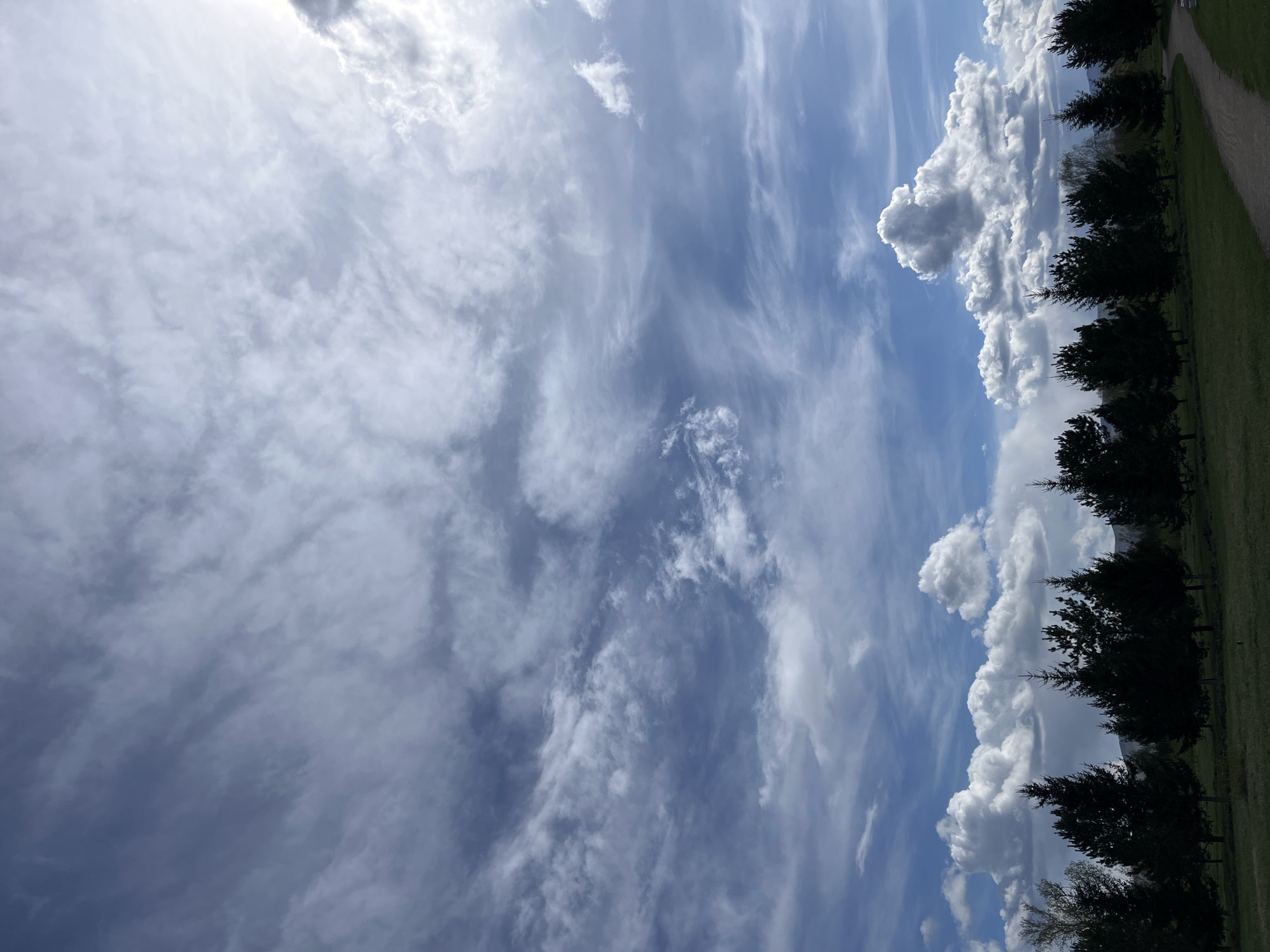 The image presents a sky partially filled with clouds, ranging from wispy cirrus to cumulus formations. A line of dark green trees runs along the right edge of the frame, bordering a green field. A path is visible adjacent to the trees. The location is presumably Krasnoyarsk, Russia, based on the prompt. There is no indication of people, actions, or interactions in the scene.