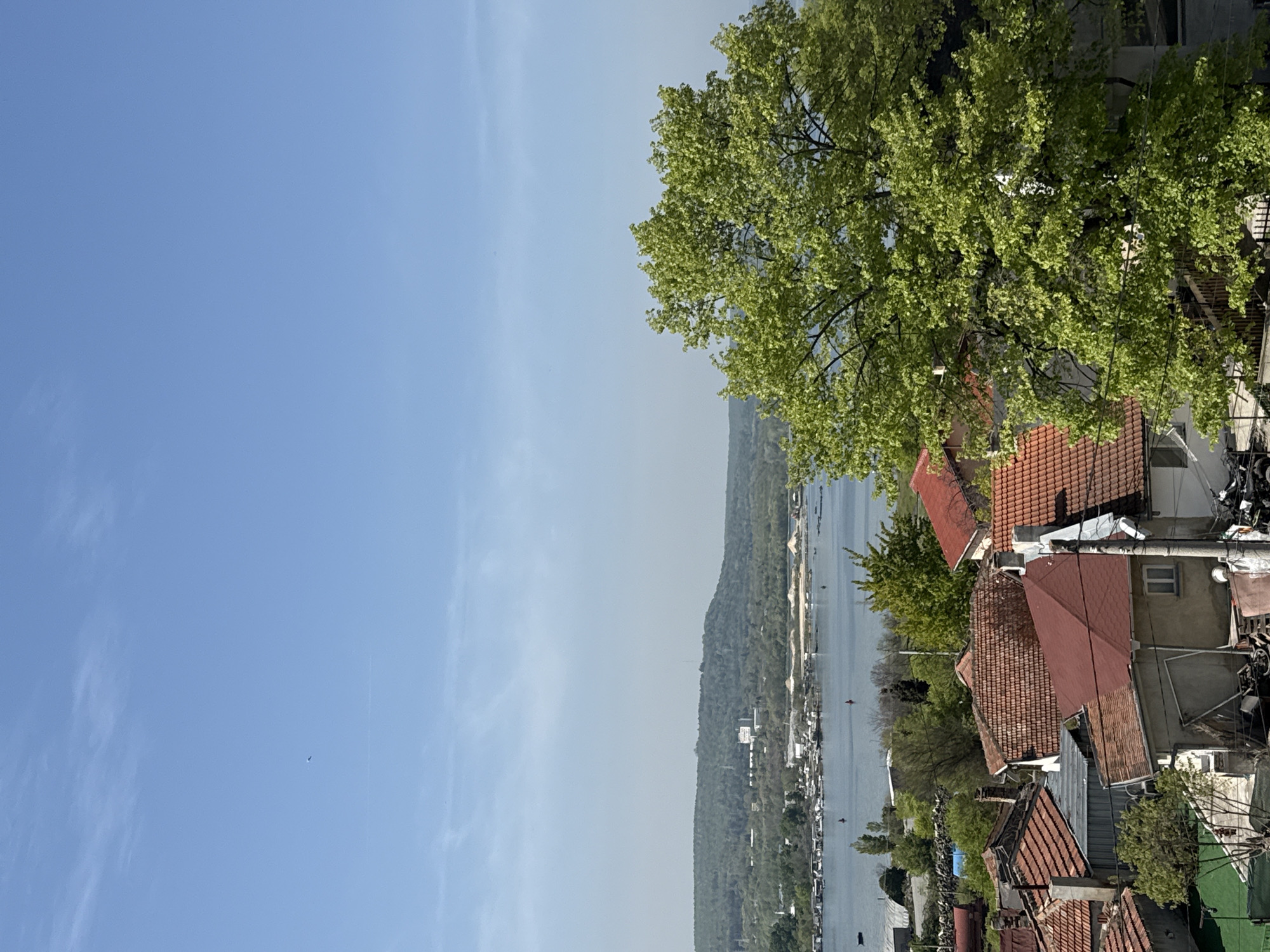The image shows a view overlooking a body of water, likely the sea, with a cityscape and tree in the foreground.
**Environment:** Clear, blue sky with a slight haze towards the horizon. The body of water extends into the distance, with a forested hillside or coastline visible on the far side.
**Objects:** Red-tiled roofs of residential buildings are visible in the foreground, interspersed with greenery from trees and bushes. There are also elements of urban infrastructure visible, such as wires and what appear to be satellite dishes. A large, leafy tree occupies the upper right portion of the image.
**Location:** Due to the presence of red-tiled roofs and the type of foliage, it is plausible that this image was taken in Varna, Bulgaria. Without street names, landmarks, or distinctive architectural styles visible, it is not possible to precisely identify the neighborhood within Varna. The image shows that it is possibly near a body of water.