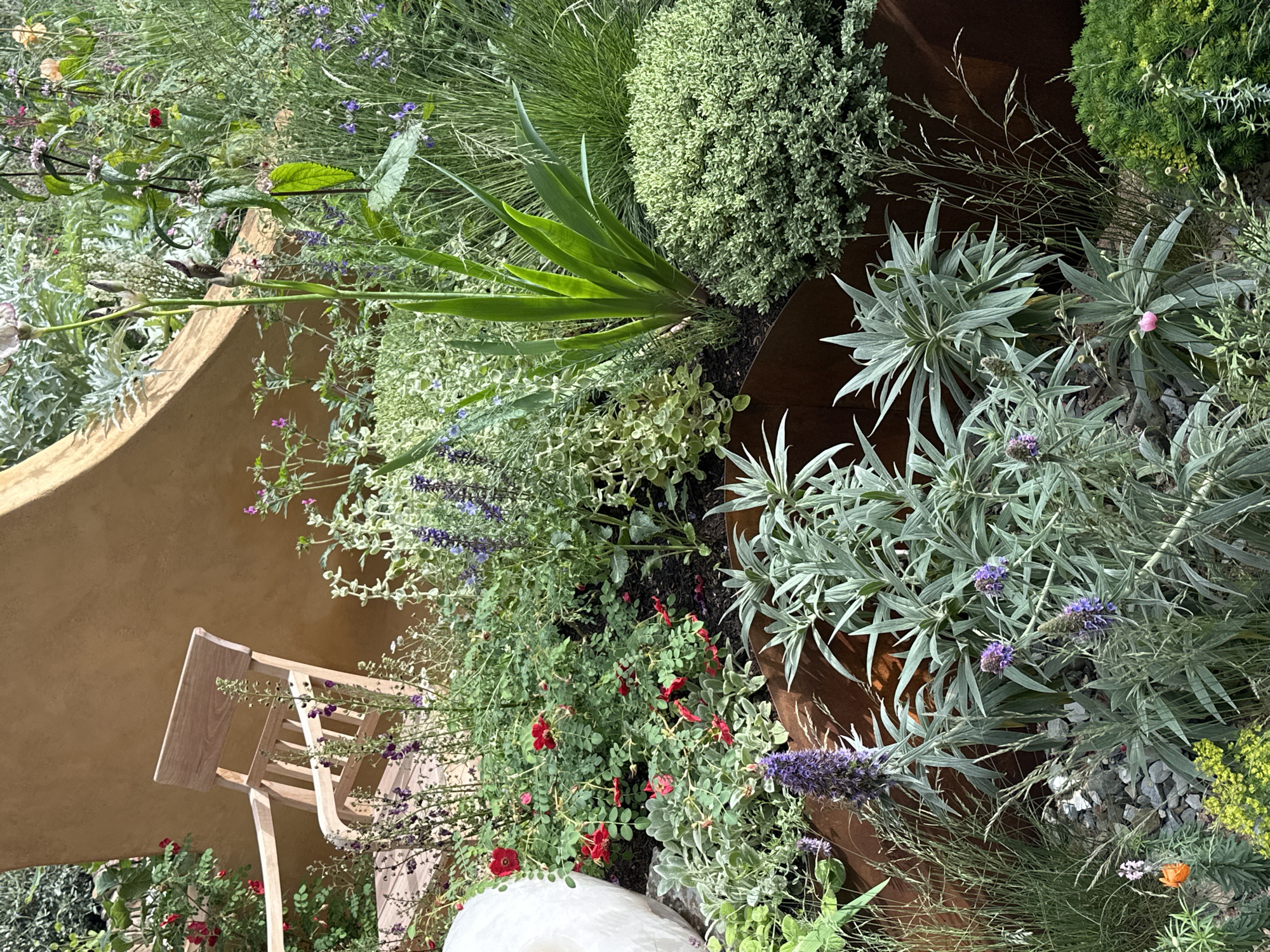 The image depicts a carefully curated garden in London, United Kingdom. In the foreground, a variety of plants and flowers fill the space, including tall grasses, lavender, and small red roses. The plants are arranged around a rusty brown metal planter. Adjacent to the planter, a weathered, light-wood chair sits near a curving, yellow-painted wall. The scene suggests a tranquil, well-maintained urban garden space.