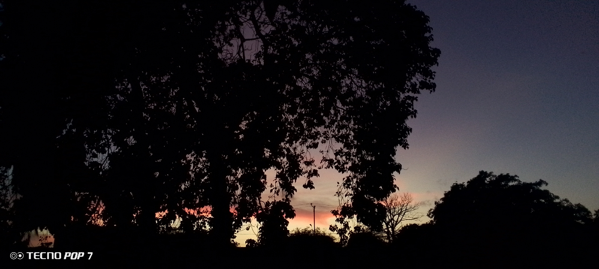 The image depicts a twilight scene in Altagracia, Venezuela. Silhouetted trees dominate the foreground, their branches and leaves creating a dark, intricate pattern against the fading sky. Through the gaps in the foliage, hints of a sunset are visible, with orange and pink hues contrasting the darkening blue of the sky above. A utility pole is visible in the center of the frame through the trees. The TECNO POP 7 logo is visible in the bottom left corner, indicating the device used to capture the image.