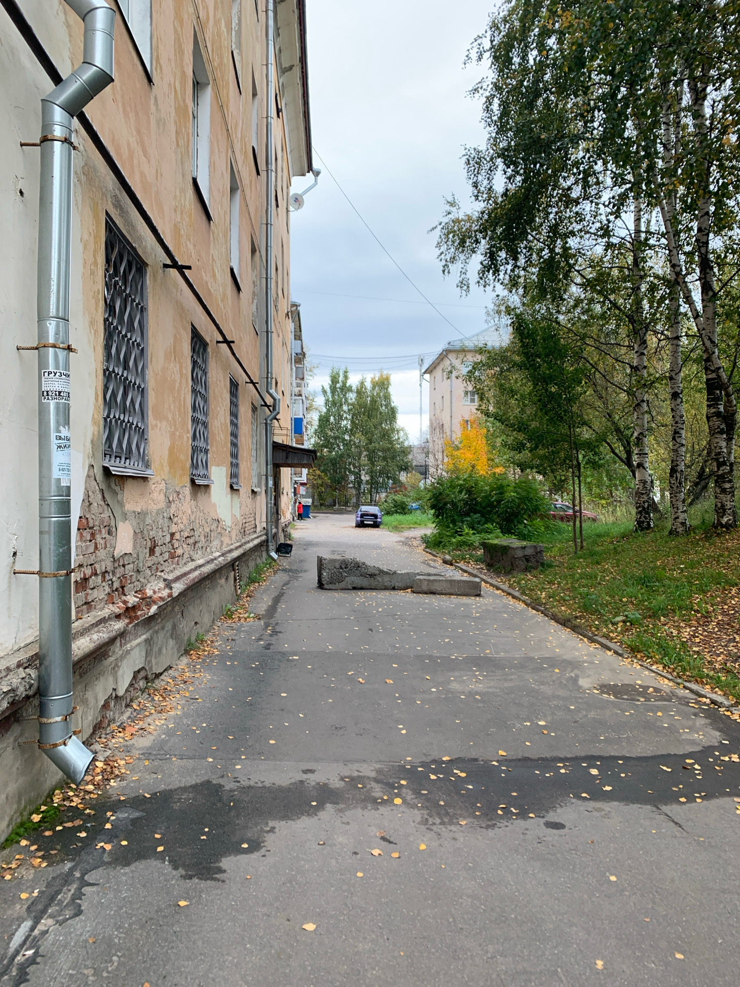The image depicts a residential street in Arkhangelsk, Russia, likely during autumn. A large, weathered, peach-colored apartment building with barred windows dominates the left side of the frame. A prominent silver downspout runs vertically along the building's exterior, showing signs of rust and wear. The lower portion of the building's facade is crumbling, revealing exposed brickwork. A paved walkway, littered with fallen yellow leaves, extends into the distance. On the right side, mature birch trees with white bark and green foliage line the walkway, with more fallen leaves on the grassy embankment. In the background, a light-colored apartment building and a dark-colored car are visible. A concrete block lies on the walkway, obstructing the path slightly. The sky is overcast, suggesting a cool, possibly damp day. The overall scene conveys a sense of an older, established urban environment.