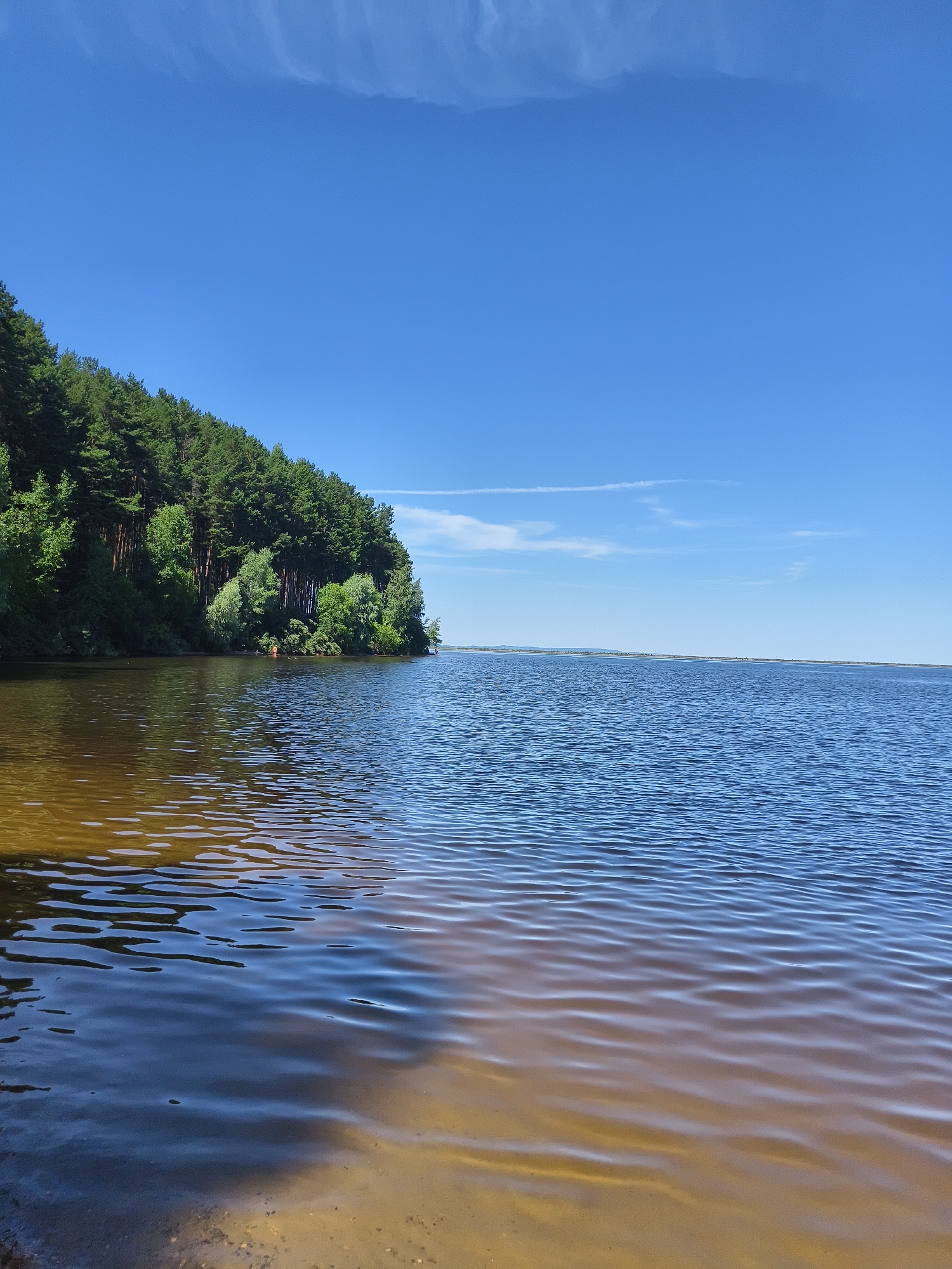 An aerial view captures a bright, sunny day at a body of water. A lush green forest lines the left side of the frame, extending from the water's edge and up a gentle slope. The water itself transitions from a sandy, shallow area near the shore to a deeper, bluer expanse further out. Subtle ripples disturb the surface of the water, reflecting the clear blue sky. In the distance, a faint line of land is visible on the horizon, and thin white clouds streak across the sky. A person, small in the frame and wearing an orange shirt, is visible wading in the shallow water near the shore.