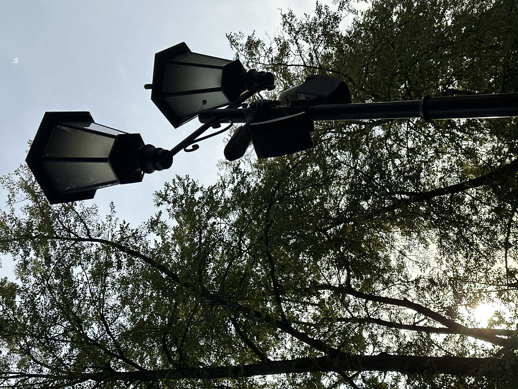 This is a low-angle, outdoor, full shot of a double lamppost against a bright, overcast sky and a canopy of green leaves. The lamppost has two black, hexagonal lamps, one on each side of the pole. The pole is dark and appears to be made of metal. There are some additional attachments on the pole between the lamps, possibly for electrical components or other fixtures. The branches and leaves of a tree fill the right and bottom portions of the image, creating a dense, natural backdrop. The sun is partially visible through the leaves on the right side of the frame, suggesting it is daytime. The sky is pale and washed out, indicating overcast or hazy conditions. The image is sharp and in focus, capturing the textures of the leaves and the details of the lamppost. No people are visible, and no text is present in the image. The scene appears to be a park or a street lined with trees.