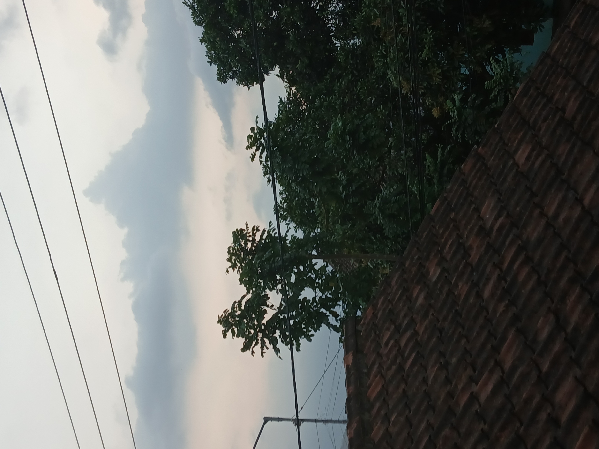 The image depicts a view from a rooftop in Tenggarang, Indonesia, looking upwards towards a cloudy sky. In the foreground, a section of a red-tiled roof is visible, angled from the bottom left towards the right. Beyond the roof, several trees with dense green foliage are prominent. Overhead, multiple power lines stretch horizontally across the frame against the backdrop of a pale, overcast sky, with distinct cloud formations. A tall, slender pole with some attachments, possibly part of a utility structure or antenna, is also visible to the left of the trees. The overall scene suggests an outdoor urban or semi-urban environment during daytime, possibly approaching dusk or after a period of rain given the cloud cover. There are no people or animals present in the image, nor any active interactions or actions taking place.