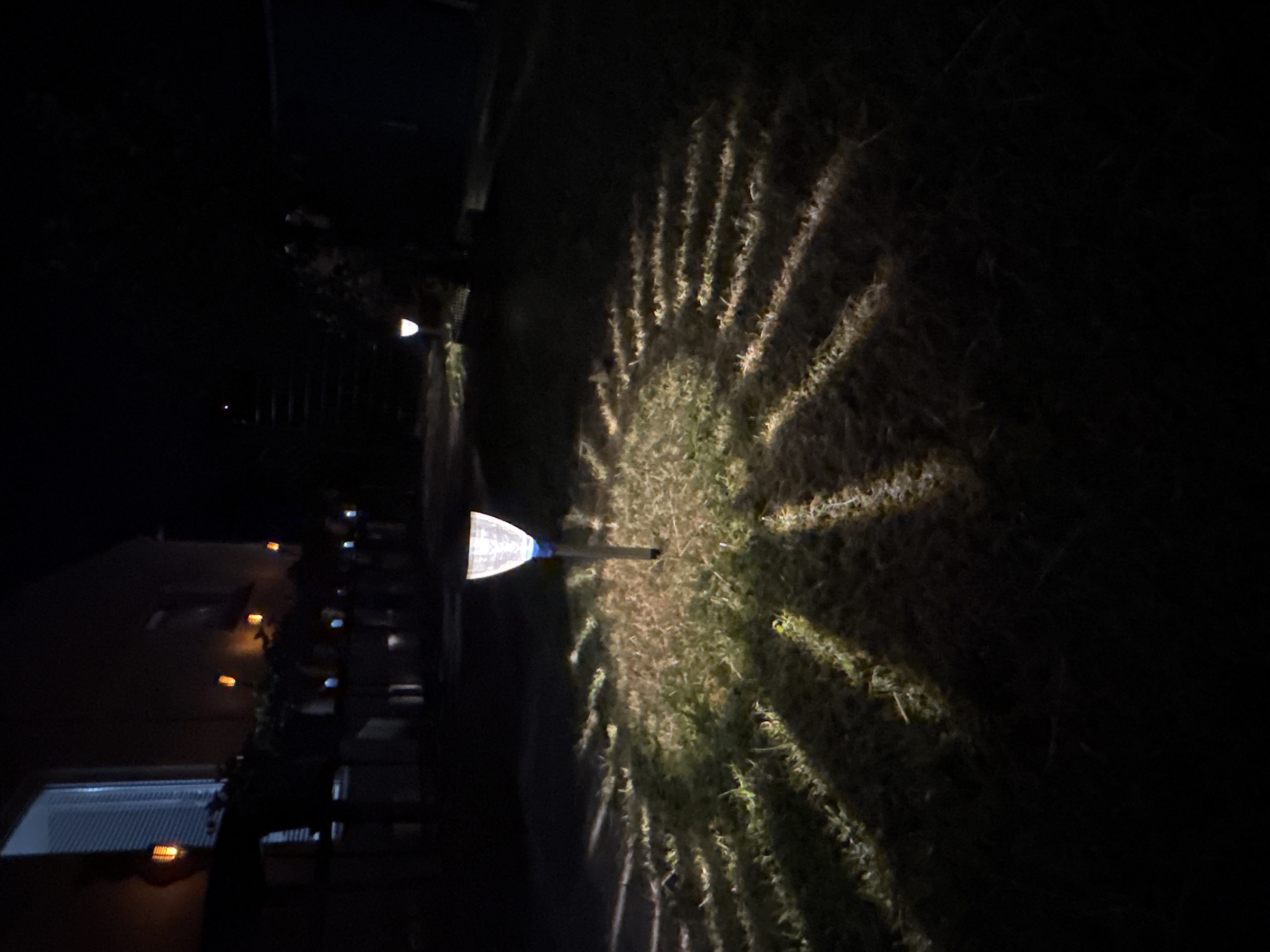 A low-angle, nighttime shot captures a pathway of solar-powered garden lights illuminating a grassy area and casting patterned shadows. The lights are cone-shaped with a white, faceted top and a dark stem. In the background, a building with a lit window is visible, and several other small, flame-shaped lights are mounted along its facade. The scene appears to be a residential backyard or garden. The location of Lübeck, Germany, is not discernible from the visual information in the image.
