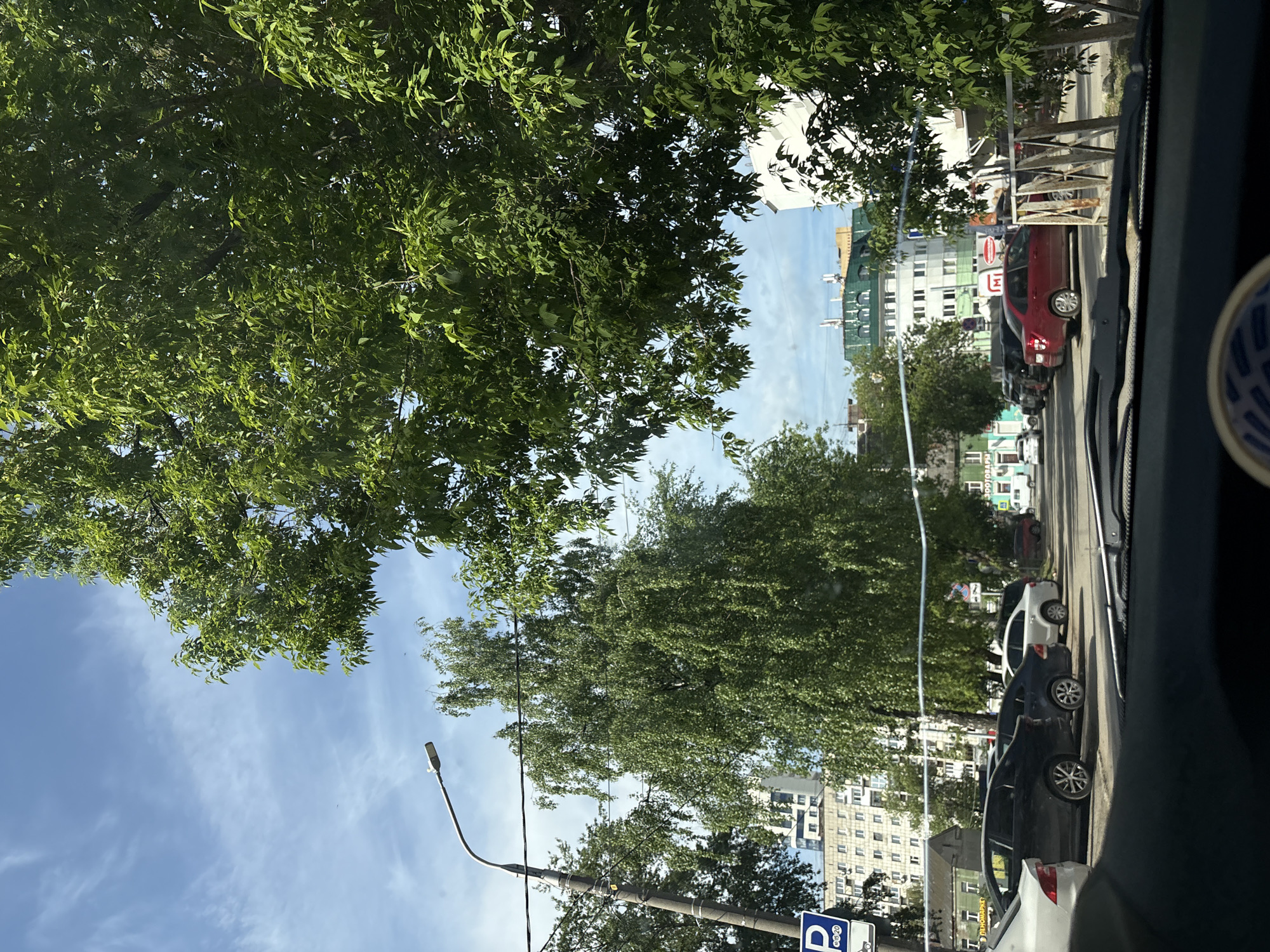 The image, taken from inside a vehicle in Perm, Russia, shows a street scene on a sunny day. The view is partially obscured by green trees overhead, framing a street lined with parked cars. Several buildings are visible in the background, varying in height and architectural style, with some appearing to be residential apartments. A street light pole is present on the left side of the frame, near a traffic sign. The overall impression is of a typical urban environment during daylight hours.