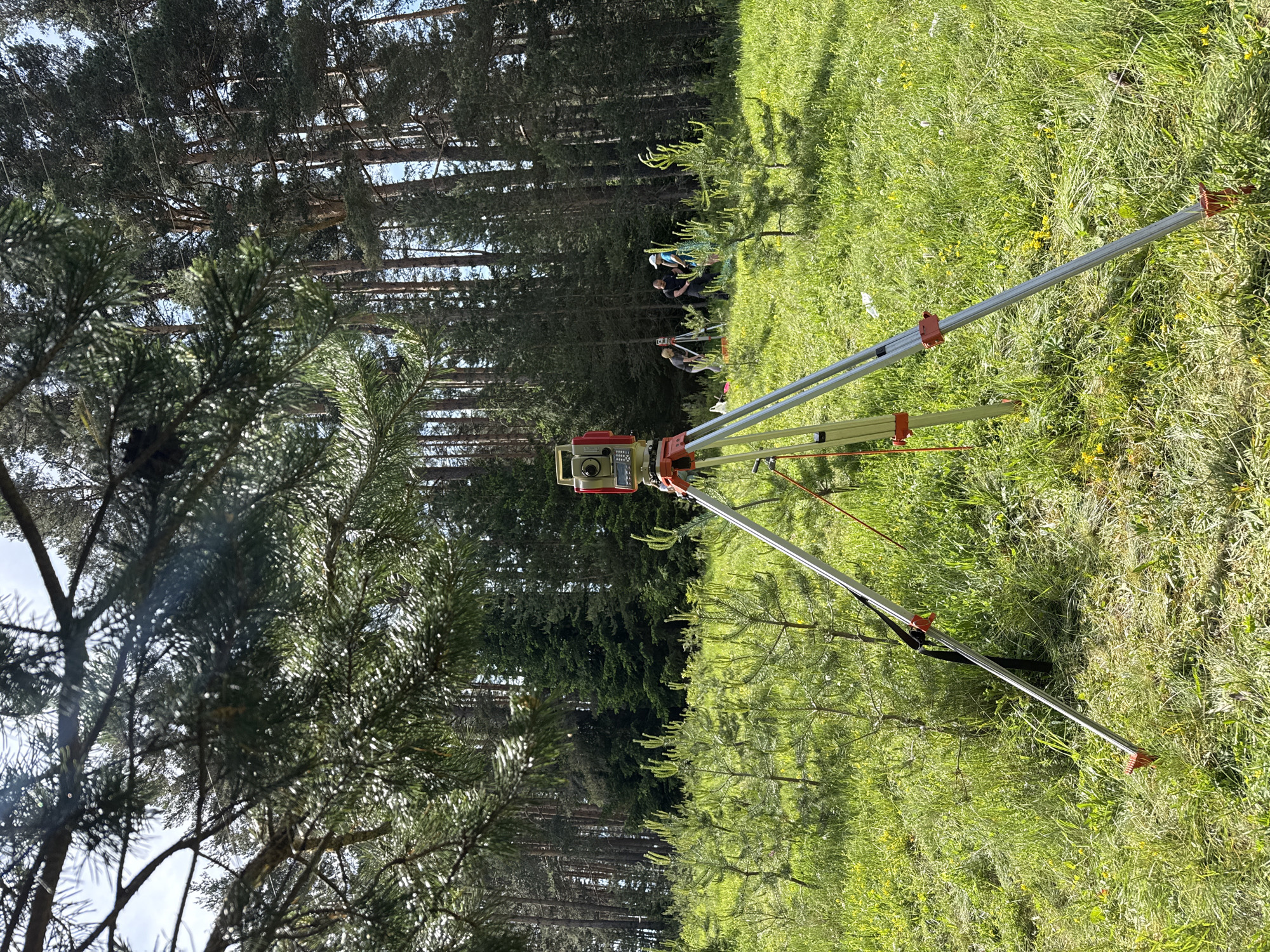 In a sunlit, grassy clearing within a dense pine forest in Yundola, Bulgaria, a surveying instrument, likely a total station, is set up on a tripod. The instrument is red and white with a digital display. In the background, several individuals are engaged in surveying activities, with at least two more tripods visible. The environment is characterized by tall, mature pine trees and younger saplings interspersed with vibrant green grass and scattered yellow wildflowers. The scene captures a moment of outdoor fieldwork.