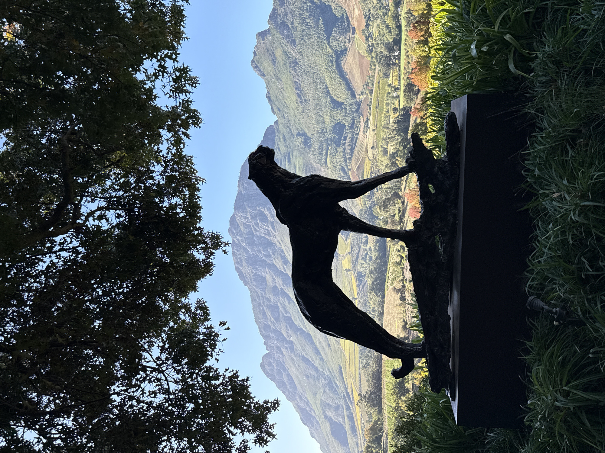 A bronze sculpture of a woman, leaning forward with her arms outstretched on a branch or tree limb, stands in an outdoor setting. The statue is silhouetted against a backdrop of a mountain landscape and a clear blue sky. The base of the statue is a dark rectangular block. To the left of the sculpture is a tree with dense foliage. To the right is greenery, likely shrubs or other plants. The landscape includes a valley with cultivated fields and vegetation on the mountainside. The location is Stellenbosch, South Africa.