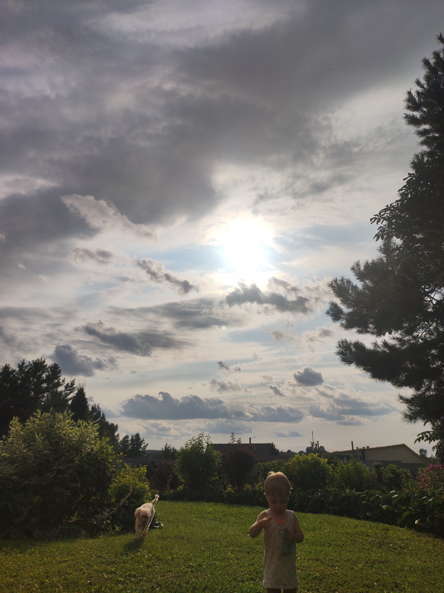A candid, full outdoor shot captures a child and a dog in a grassy backyard under a dramatic, cloud-filled sky. The child, a young boy wearing a light-colored sleeveless shirt, stands in the foreground, facing left and holding a bottle, likely blowing bubbles. To the left and slightly behind him, a cream-colored dog is walking away from the camera. The background features lush green grass, various bushes and trees, and some buildings, suggesting a rural or suburban setting. A large pine tree partially frames the right side of the image. The sun is visible through the heavy clouds, creating a bright, diffused light. The scene is set in the city of Fokino, Russia, based on the provided context.