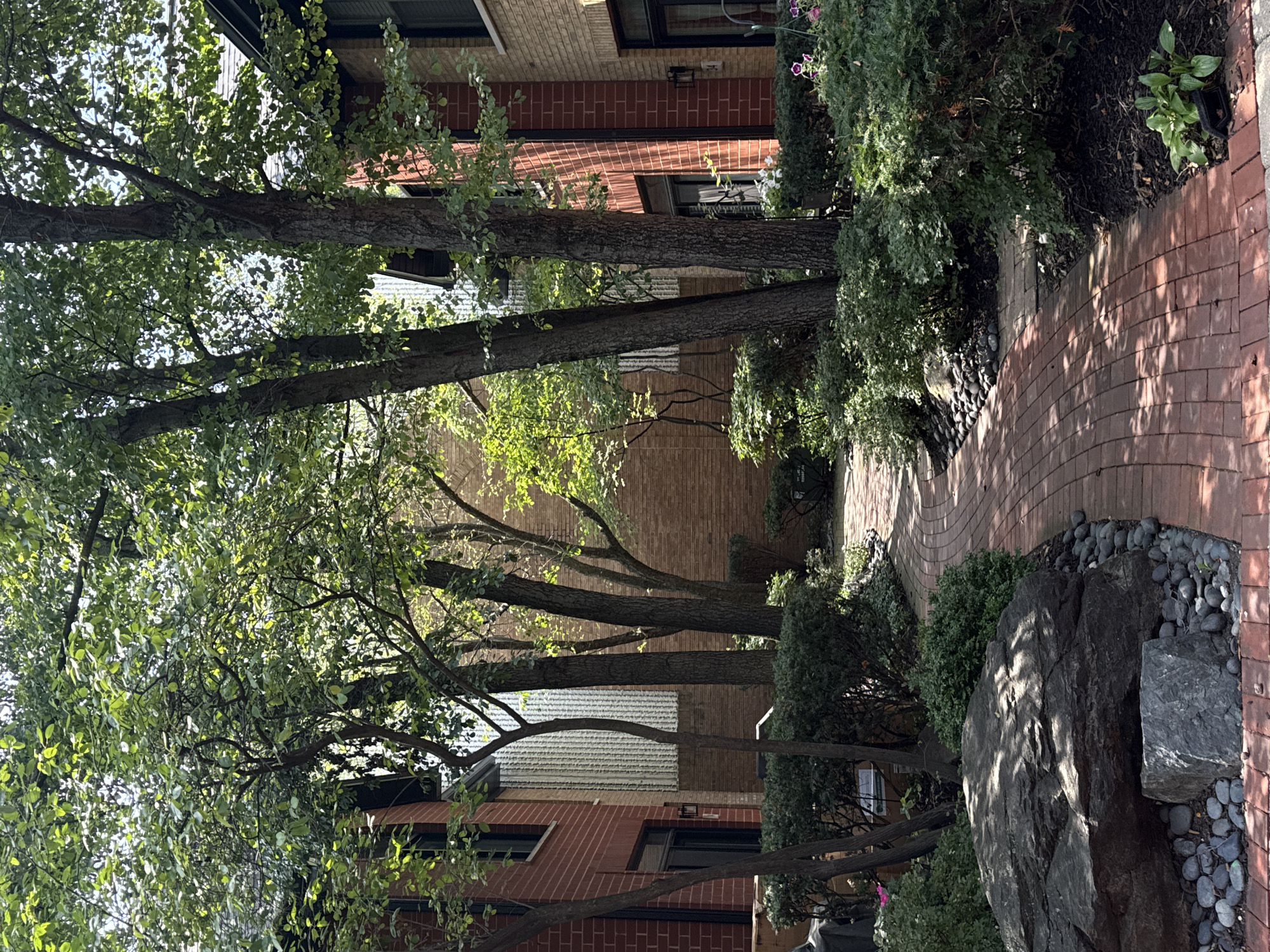 This is a medium shot of an outdoor courtyard located in the Lincoln Park neighborhood of Chicago, Illinois, United States of America. The courtyard is paved with a brick pathway that curves to the right, leading into the scene. Flanking the pathway are lush green bushes and trees, with a large boulder and several smaller stones near the foreground on the left. Two brick buildings, one on the left with red brick and the other on the right with lighter colored brick, are visible on either side of the courtyard, with visible windows and dark trim. The buildings appear to be townhouses or apartment buildings. Sunlight filters through the leaves of the trees, casting dappled shadows on the pathway and the surrounding vegetation. The scene is peaceful and well-maintained, suggesting a private residential or commercial space. There are no people or animals visible in the image.