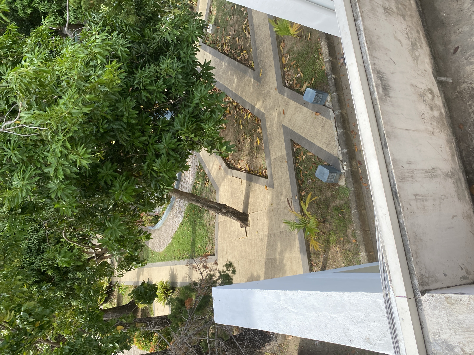 An aerial view captures a courtyard with a paved pathway intersecting a grassy area. Lush green trees with dense foliage dominate the upper portion of the frame, casting shadows on the ground below. The pathway, made of light-colored square tiles with darker grout, forms a geometric pattern, including a central intersection. Fallen leaves are scattered across the grass and the paved areas, indicating a possible autumn season or a well-maintained but natural outdoor space. Two small, square decorative lanterns with intricate designs are placed along the pathway. In the foreground, a portion of a white, rectangular structure, possibly a railing or wall, is visible, along with a concrete surface below it. A young palm tree with vibrant green fronds sprouts near the pathway. The scene appears to be an outdoor public space, possibly a park or a courtyard in a resort or residential complex, located in an unspecified urban setting.