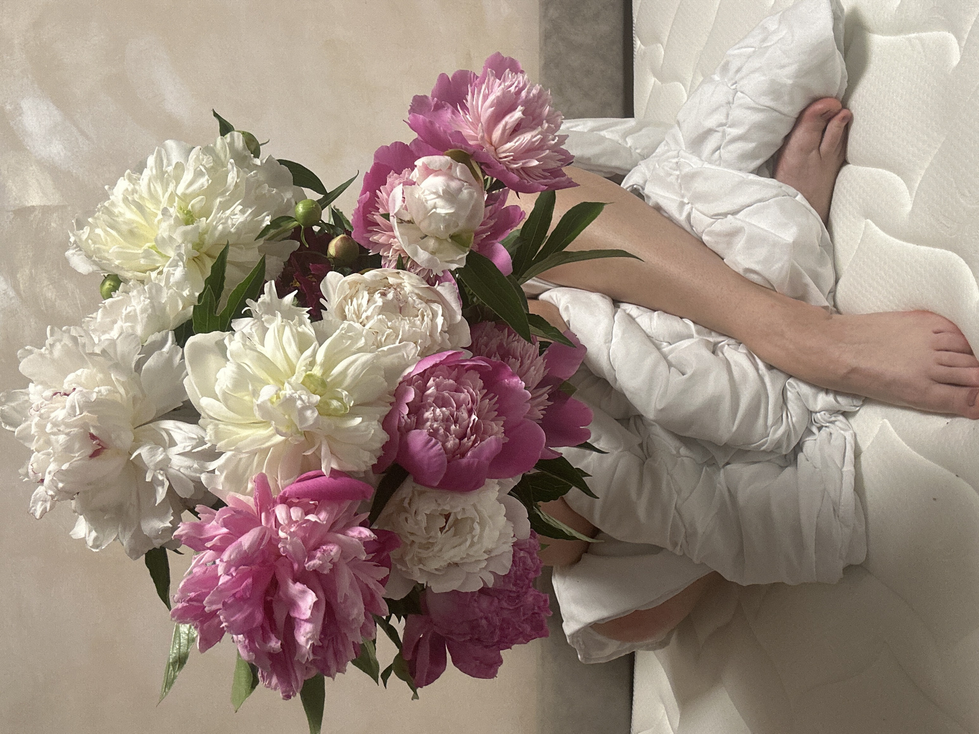 A person is covered with a white blanket, sitting on a mattress. A large bouquet of pink and white peonies is placed in front of them, obscuring their face and torso. The background is a textured beige wall with shadows. The person's legs and feet are visible, one foot resting on the mattress and the other tucked under the blanket. The lighting is soft, creating a gentle atmosphere. This image was taken in Chaikovsky, Russia.