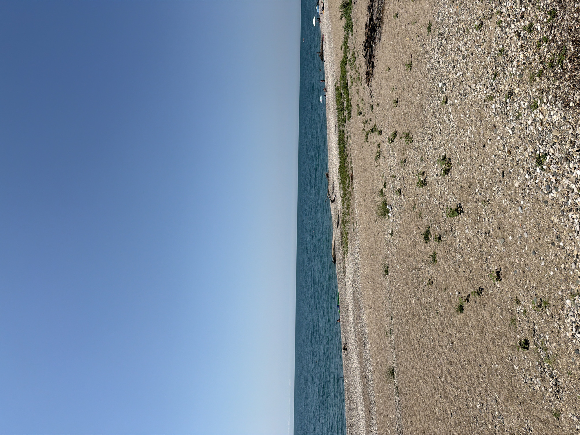 The image depicts a natural beach scene with a clear blue sky dominating the upper portion. The sea, a vibrant teal, stretches across the horizon, meeting the sky in a sharp, straight line. The beach itself is composed of sand and pebbles, with sparse patches of green vegetation growing intermittently. In the distance, several small figures are visible near the water's edge, some with umbrellas. The foreground shows more of the pebbly sand, with a few pieces of driftwood scattered towards the right side. The lighting suggests a bright, sunny day. The location is identified as New Athos, Abkhazia.