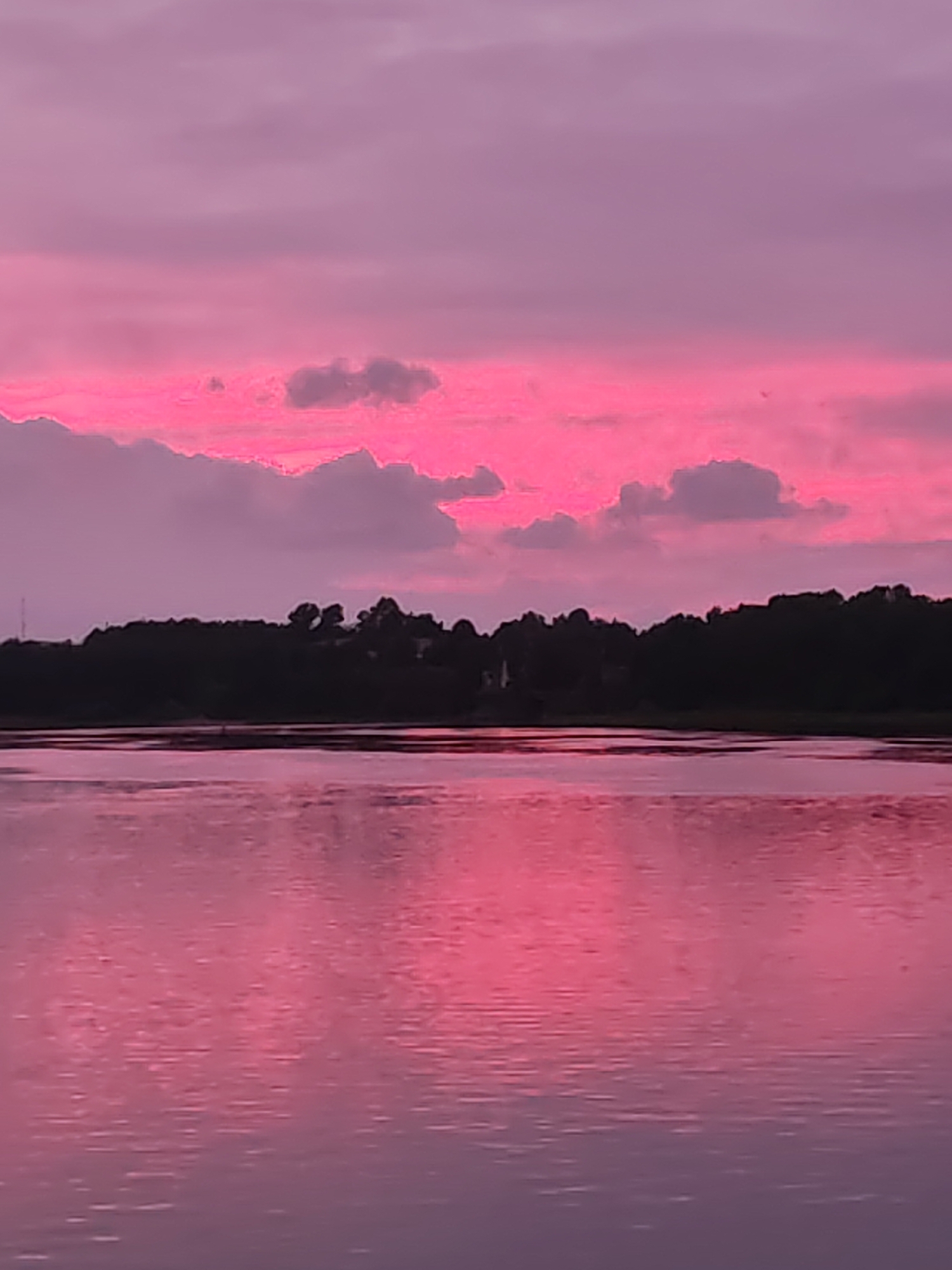 The image shows a body of water under a pink and purple sky. The sky features clouds with varying shades of pink and purple. The water reflects the sky's colors, creating a mirrored effect. A dark landmass with trees is silhouetted against the horizon. There is no evidence to connect the location to Bol'shie Mkhi, Russia.