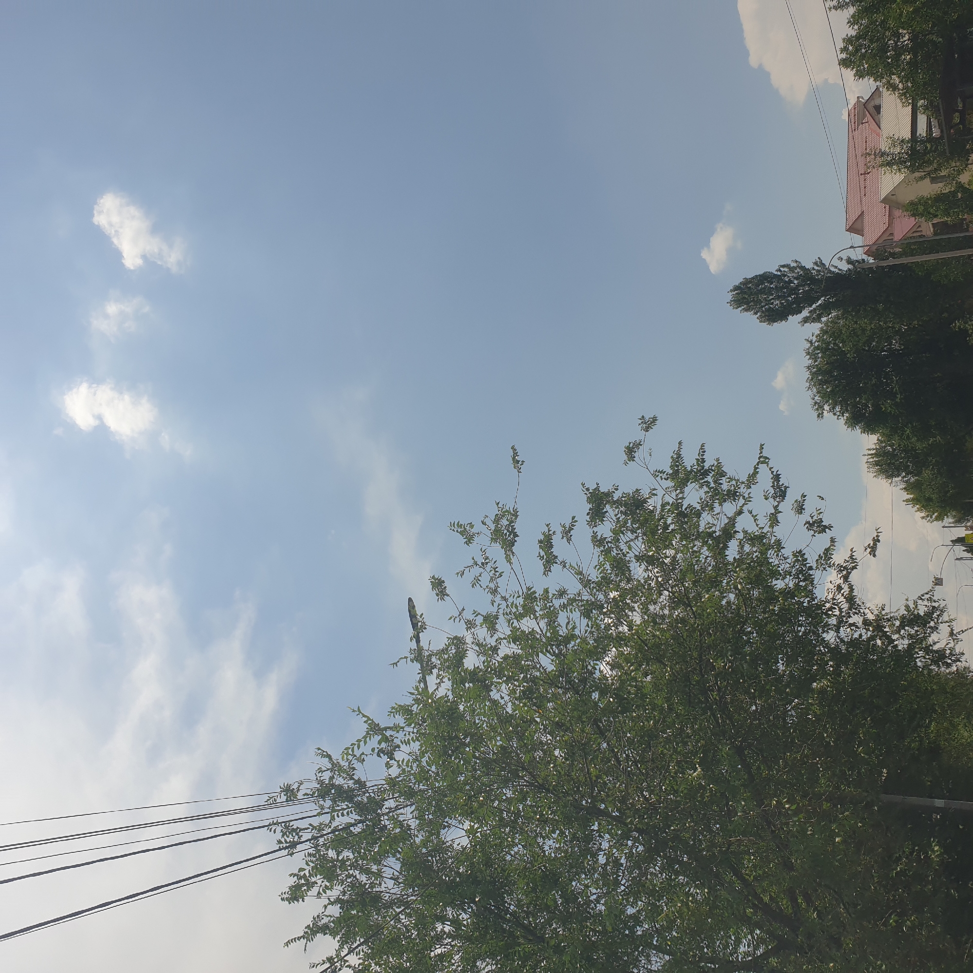 The image captures a view of a residential area under a partly cloudy sky in Shymkent, Kazakhstan. In the foreground, a large, leafy tree dominates the left side of the frame. Overhead, several power lines are visible, strung across the sky. In the background, several houses with red and beige tiled roofs are clustered together, partially obscured by more trees. A tall, slender tree stands to the left of the houses. The scene appears to be a typical suburban street on a sunny day, with an urban infrastructure element in the form of power lines.