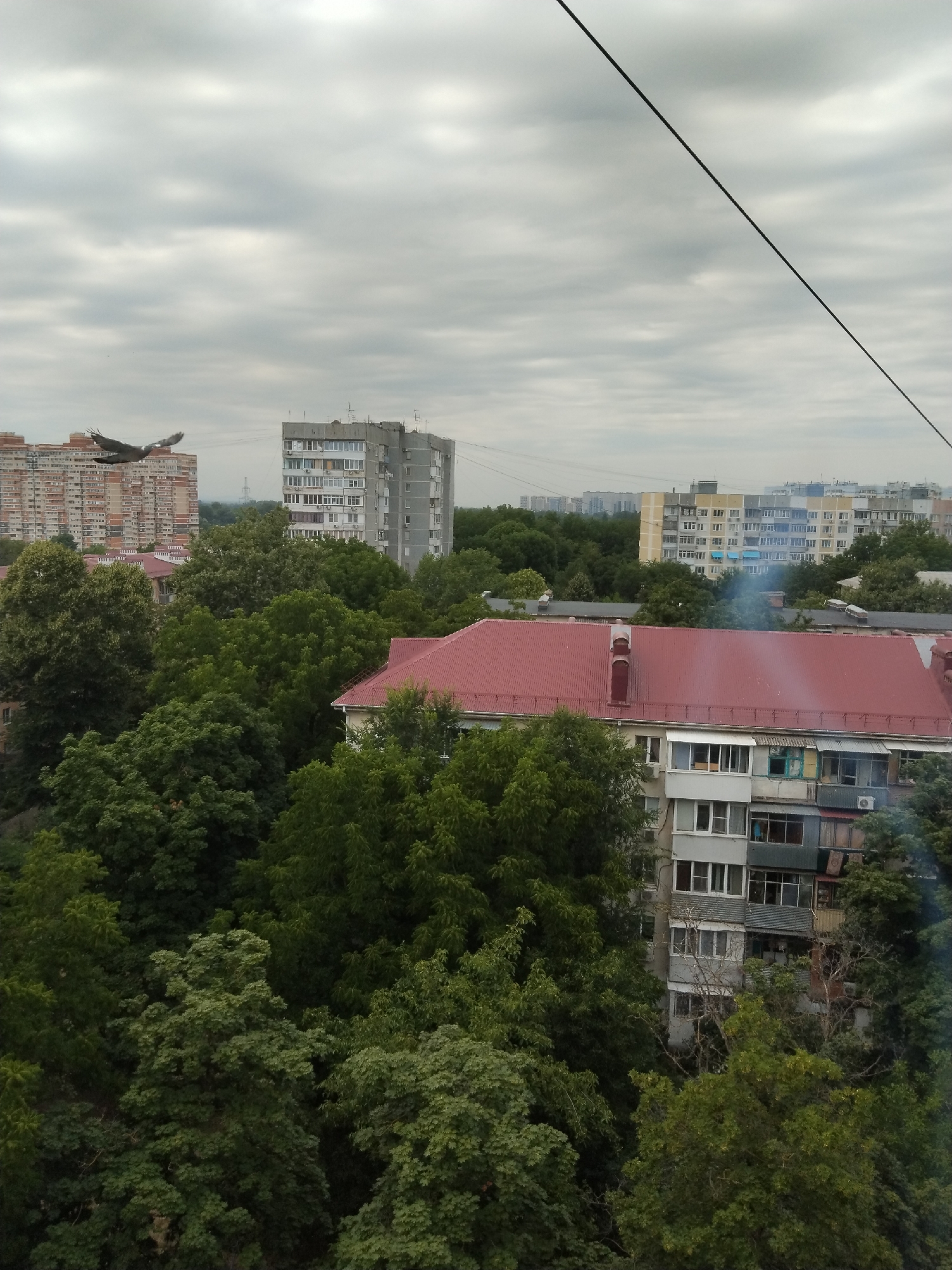 This is a high-angle, medium shot of a residential area in Krasnodar, Russia, captured on a cloudy day. The scene is dominated by apartment buildings and dense foliage.
In the foreground, a large apartment building with a red-tiled roof and multiple stories is partially visible. Its facade shows various windows, balconies, and some visible air conditioning units. Trees heavily surround this building, obscuring some of its lower levels and creating a sense of a green urban environment.
Behind the foreground building, several other apartment buildings of varying heights and architectural styles are visible. One building to the left is light brown with numerous windows. Another taller, grey building is located in the mid-ground. Further in the distance, more apartment buildings, some lighter in color, are visible along with a hazy sky.
In the upper left quadrant of the image, a bird, possibly a pigeon, is captured in mid-flight against the cloudy sky. A thin, black wire stretches diagonally across the upper portion of the frame, likely a power line or similar utility cable. A faint plume of smoke or steam is visible rising from behind the red-roofed building. The overall impression is one of a typical urban landscape characterized by apartment blocks interspersed with mature trees.