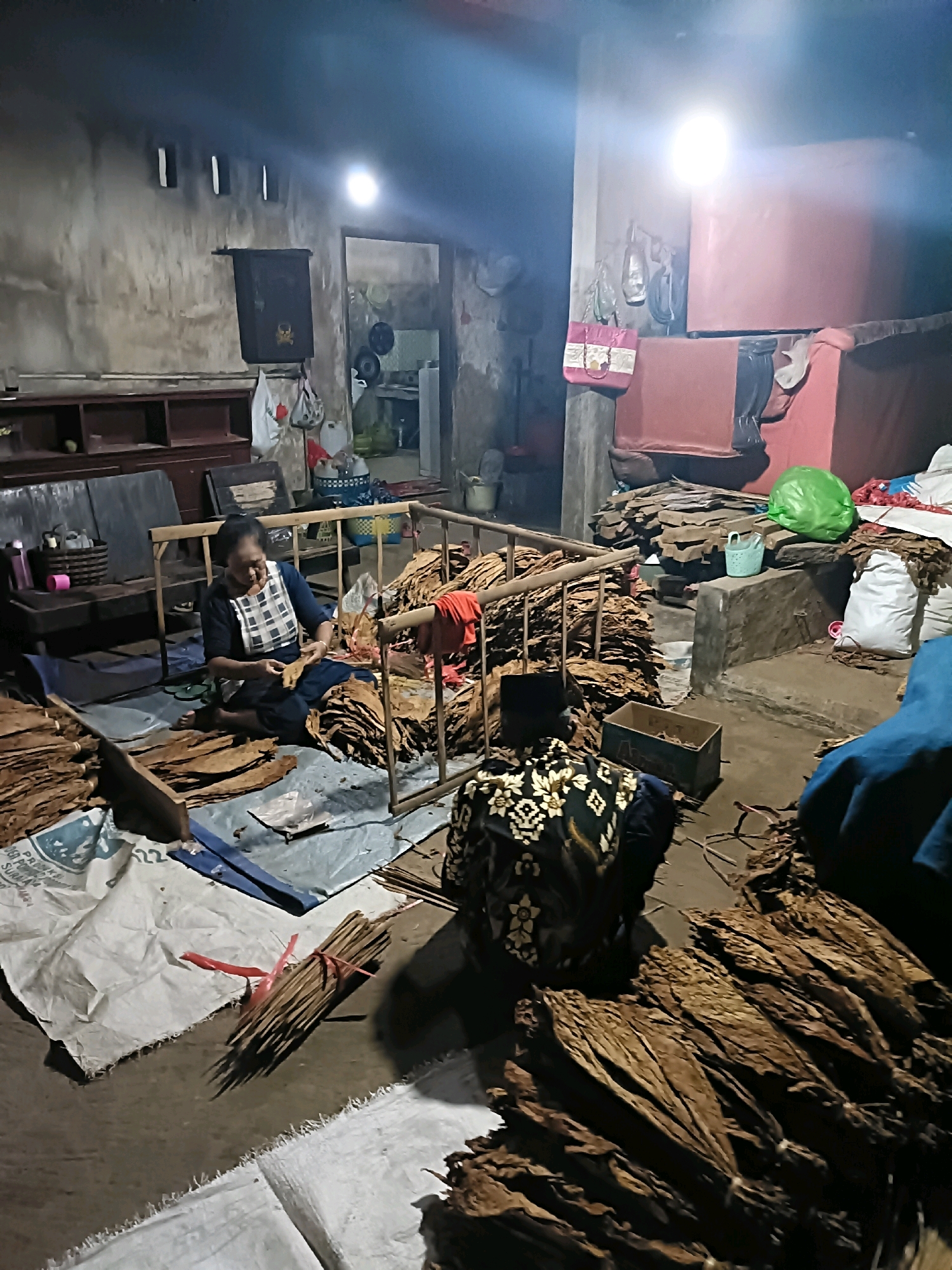 In Tamanan, Indonesia, an indoor scene depicts two individuals working with dried tobacco leaves. The room is dimly lit by overhead lights, casting long shadows. In the foreground, a woman with dark hair, wearing a checkered apron over a dark blue outfit, sits on the floor amidst a large pile of dried tobacco leaves. She is actively sorting and processing the leaves with her hands. To her right and slightly behind her, another person, whose face is not visible, kneels on the floor, also engaged with the tobacco. This individual is wearing a dark fabric with a white floral pattern.
The environment is rustic and appears to be a storage or processing area for tobacco. Large stacks of dried leaves are present throughout the room. Various objects are scattered around, including a wooden crate, white plastic bags, a green plastic bag, a light blue basket, and what appears to be a bundle of dried stems tied with red string. Furniture includes a dark wooden shelf unit and a dark couch in the background. The walls are rough and textured, and there are small openings near the ceiling. The overall impression is of a busy workspace dedicated to tobacco preparation.