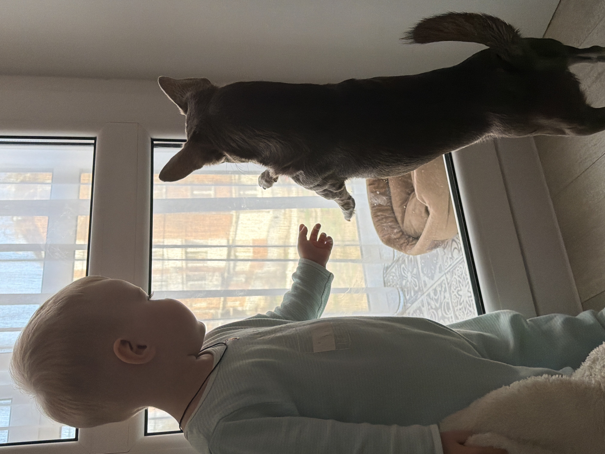 A child is lying down with their arm raised towards a dog that is on a window sill. The location is Votkinsk, Russia. The child is wearing light blue clothing and a necklace. The dog is brown and its tail is raised. A window and part of a couch are visible in the background.