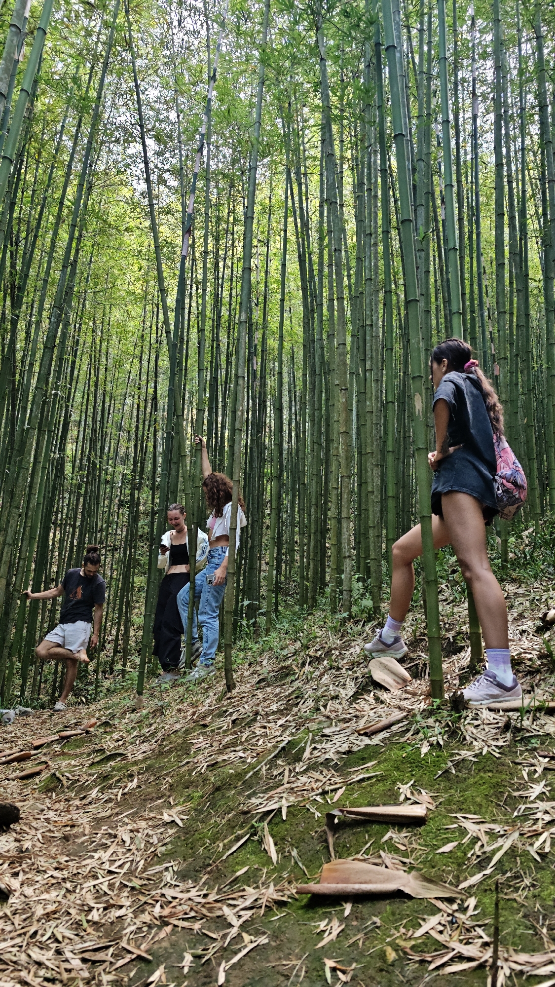 Five people are standing on a trail in a bamboo forest in Ngã Ba Kim, Vietnam. The trail is covered in fallen leaves and moss. The tall bamboo stalks are the primary feature of the environment.
A person in a dark shirt and light shorts stands on one leg, while another person looks at a phone. A third person has one arm raised while standing near the person with the phone. A fourth person is wearing jeans and a white shirt and appears to be standing next to the third person. To the right and in the foreground, a fifth person in a dark top and shorts stands with one foot on a piece of wood. They have a pink backpack. They are gripping a bamboo stalk.