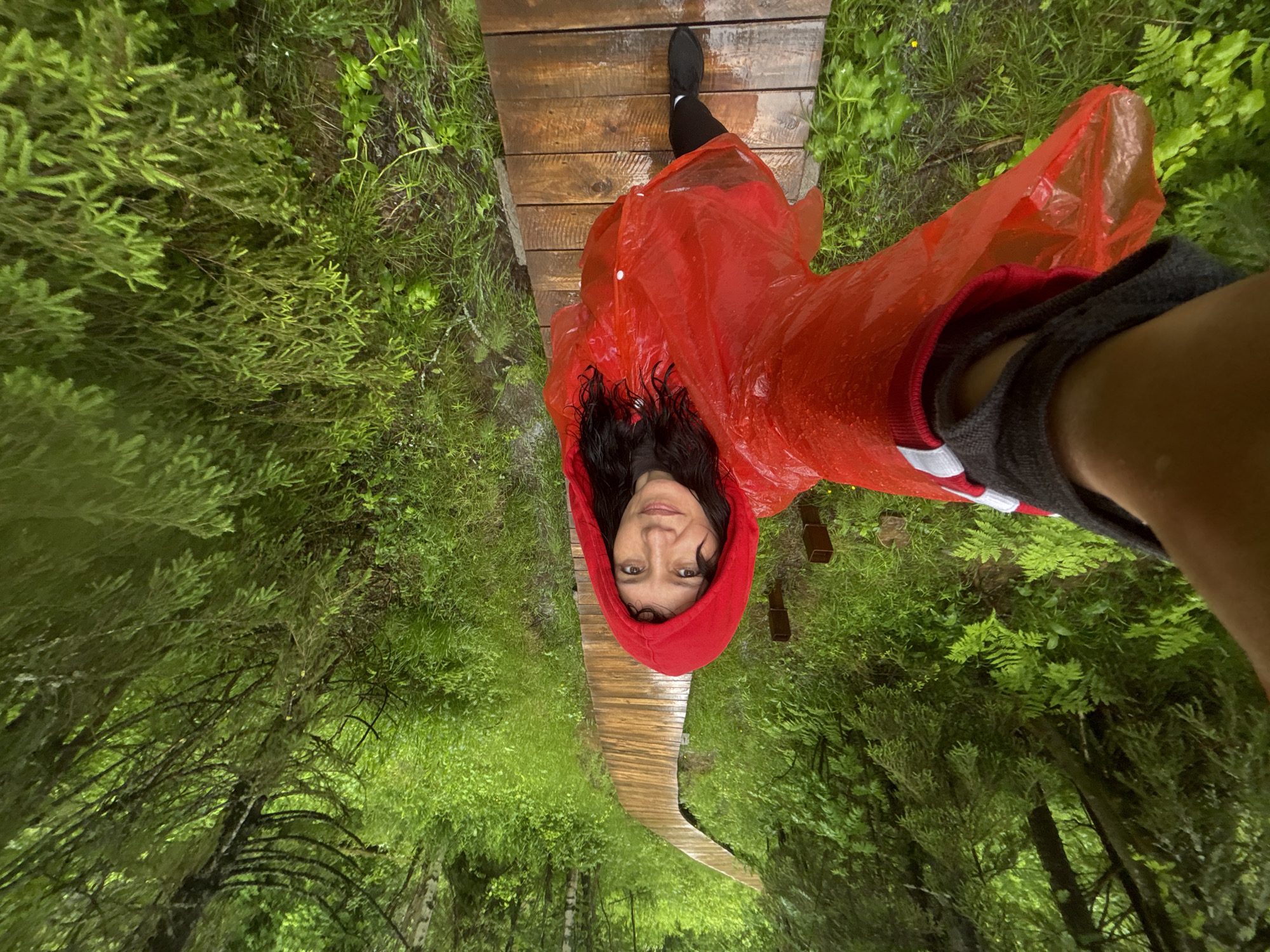 A person, wearing a red hooded raincoat and dark shoes, stands on a wet wooden boardwalk that curves through a lush, green forest. The person is holding a phone in their left hand, capturing a selfie. The forest is dense with trees and undergrowth, and the boardwalk appears to be elevated to navigate the damp terrain. The scene suggests an outdoor activity in a natural environment, likely during or after rainfall, given the wet surfaces. The location is identified as Shumikhinskii, Russia.