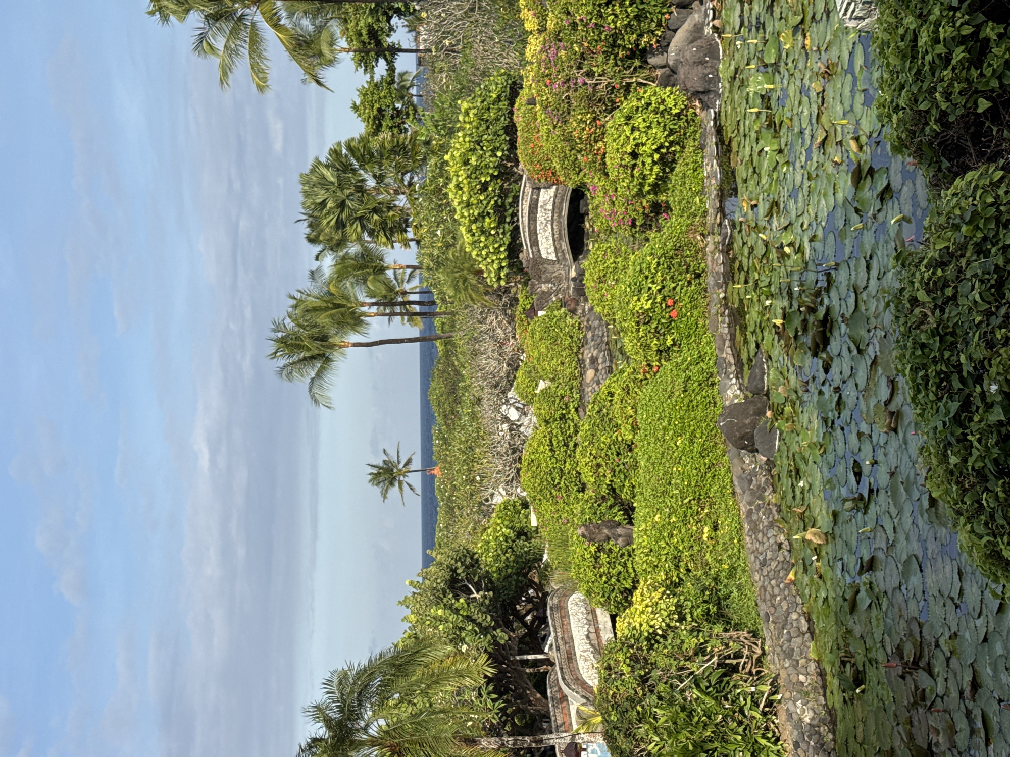 The image shows a tranquil garden landscape. A pond filled with lily pads occupies the right side of the frame. Lush green vegetation, including bushes, trees, and palms, surrounds the pond and extends towards the left, where glimpses of the ocean and sky are visible. A small stone bridge covered in vegetation can be seen mid-frame. The location is in Kuta Selatan, Indonesia.