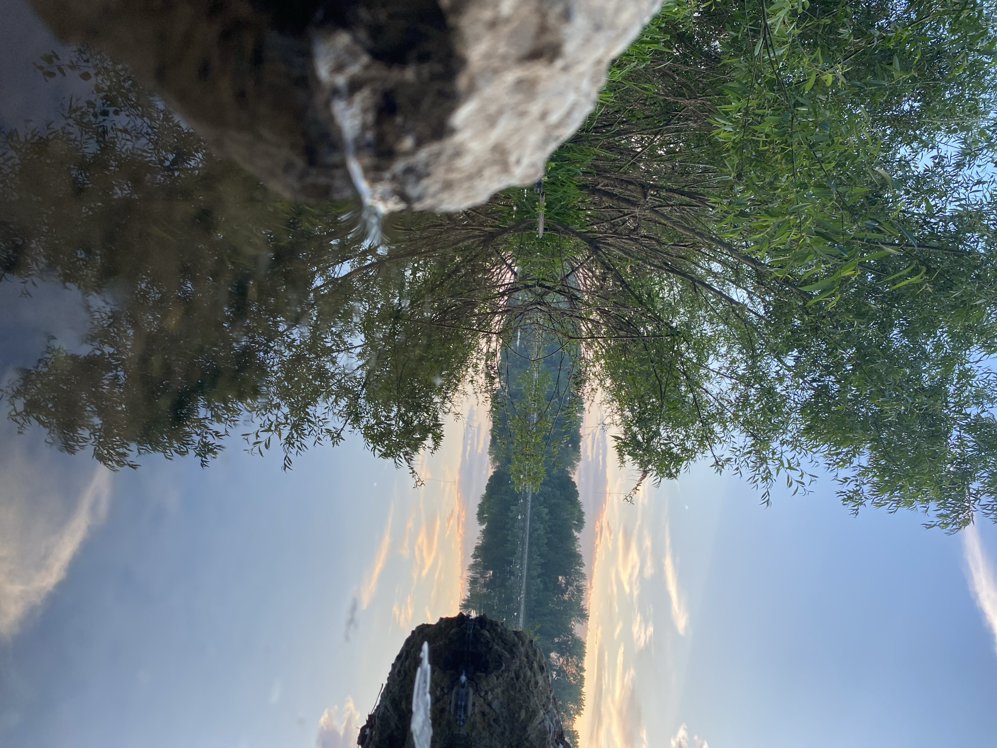 The image depicts a serene natural scene at what appears to be a riverbank, possibly in the city of Chaikovsky, Russia, given the context. In the foreground, a large, textured grey rock occupies the lower left quadrant, partially submerged in calm water. The water's surface acts as a mirror, reflecting the surrounding environment. To the left of the rock, lush green foliage from trees and reeds grows densely along the bank.
The middle ground showcases the tranquil water body, reflecting the sky and the vegetation. The sky above is a soft gradient of blue, transitioning to warmer hues of pink and orange near the horizon, indicating either sunrise or sunset. Wispy clouds are scattered across the sky.
The background features a tree line composed of numerous trees, creating a dark green silhouette against the lighter sky. The reflection of this tree line is clearly visible in the water. On the right side of the image, another rock formation, smaller than the one in the foreground, is also visible near the water's edge. The overall atmosphere is peaceful and natural, with the stillness of the water enhancing the sense of tranquility. No people are present in the scene.