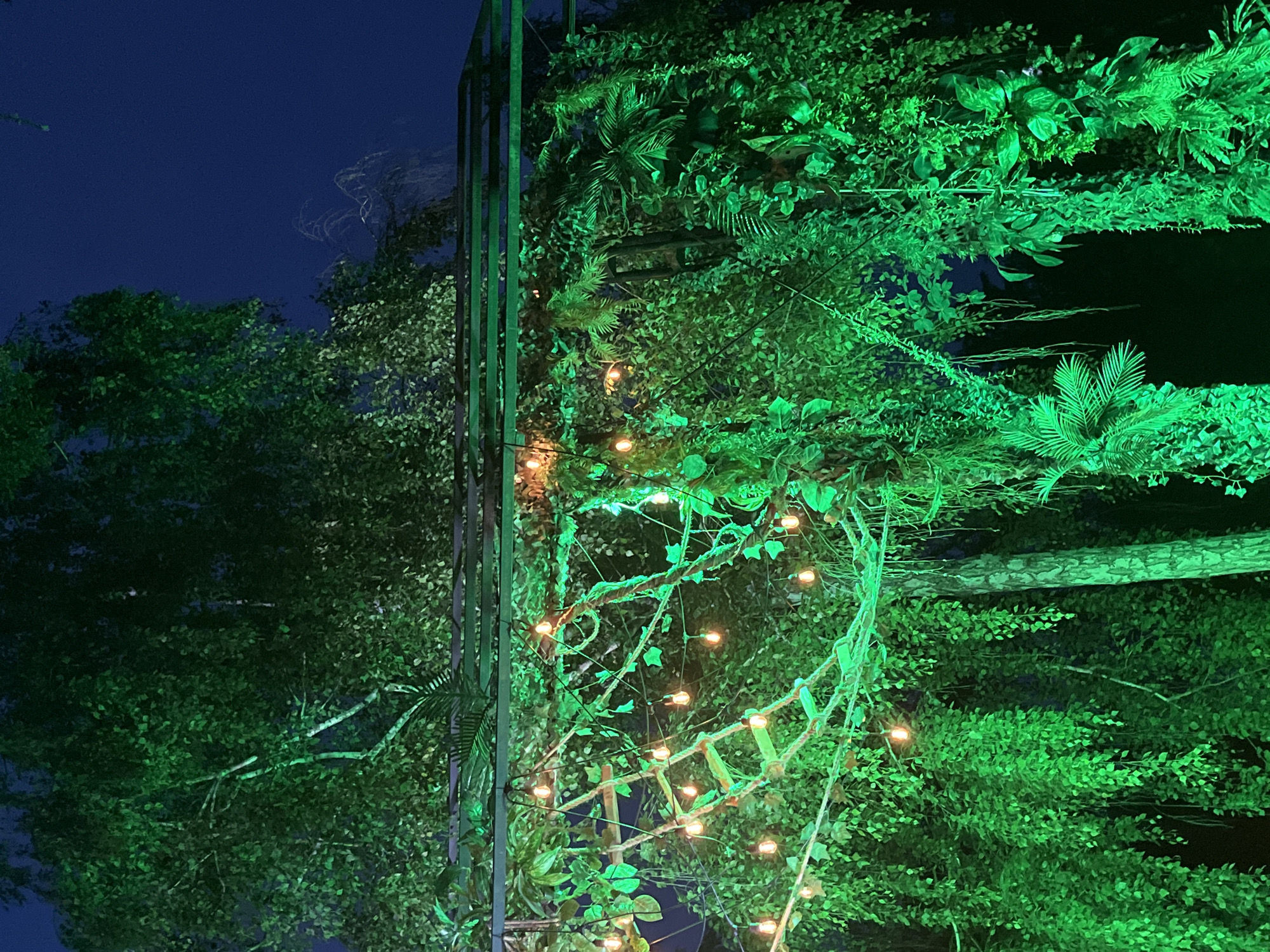 This image depicts an outdoor area at night, located in Sremski Karlovci Municipality, Serbia, characterized by dense, artificially illuminated vegetation. The upper background features a dark blue sky and outlines of large, dark-leafed trees, some with visible trunks illuminated by green light. The dominant features are abundant green foliage, including hanging vines, ferns, and various plant types, which are intensely saturated with green light, likely from directed spotlights. A dark, multi-beamed structure, possibly a pergola or trellis, horizontally spans the upper midground. Strung throughout the vegetation and across this structure are multiple strands of warm-toned string lights, each featuring exposed, round bulbs. In the left-center, a rustic rope ladder with wooden rungs hangs vertically amidst the illuminated greenery. No individuals or dynamic actions are present in the scene.