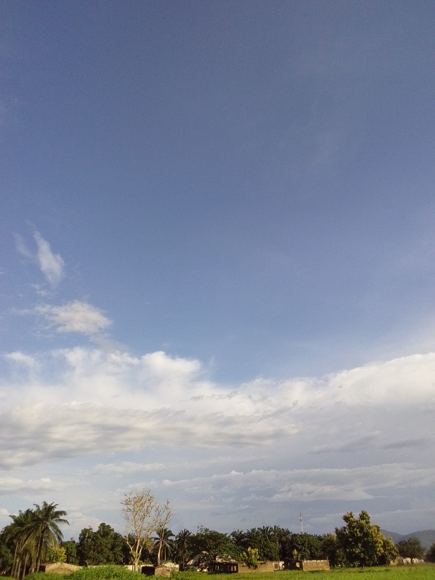 This image captures a rural landscape under a wide expanse of a pale blue sky with scattered white clouds. In the foreground, a vibrant green field stretches across the bottom third of the frame. A line of trees forms a dense backdrop to the field. Among these trees, various structures are visible, including what appear to be low-lying buildings or ruins. The most prominent of these structures are two rectangular openings, one on the left and another on the right, resembling doorways or windows.
To the left, a cluster of tall palm trees stands out, their fronds creating a distinctive silhouette against the sky. In the center, a leafless tree with a pale trunk and sparse branches offers a stark contrast to the lush greenery. Further to the right, a solitary tower, possibly a telecommunications mast, rises above the tree line. In the far distance, a mountainous or hilly region is faintly visible on the right horizon, shrouded in a light haze. The overall impression is one of a peaceful, natural setting, likely in the city of Serti, Nigeria, with evidence of human settlement integrated into the environment.