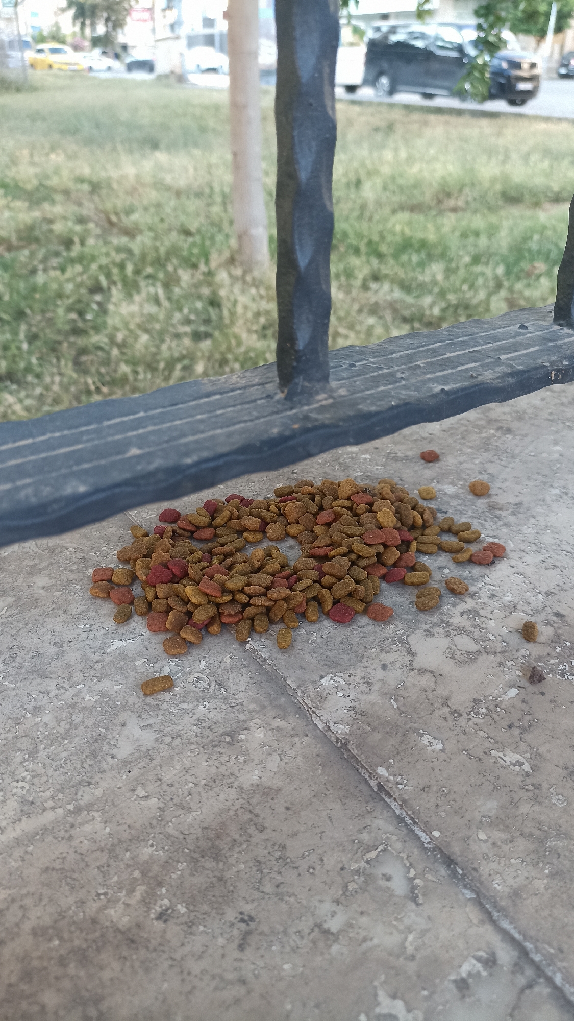 A close-up, eye-level shot captures a pile of dry pet food (kibble), predominantly brown with some red pieces, scattered on a light-colored, textured concrete or stone surface in the foreground. A dark, weathered metal railing, possibly a fence, runs horizontally across the mid-ground, with a vertical post extending upwards on the right side.
Behind the railing, a green grassy area is visible, suggesting a park or lawn. In the blurred background, a street scene unfolds with several vehicles, including a yellow taxi and a dark car, indicating an urban or suburban environment. Faint outlines of buildings and trees are also discernible.
The presence of pet food on the ground suggests it has been left for stray animals, an act of compassion. The natural, bright lighting indicates it is daytime, under clear weather conditions. The setting appears to be a public outdoor space adjacent to a road, consistent with an area in Yenişehir, Turkey. There is no visible text in the image.