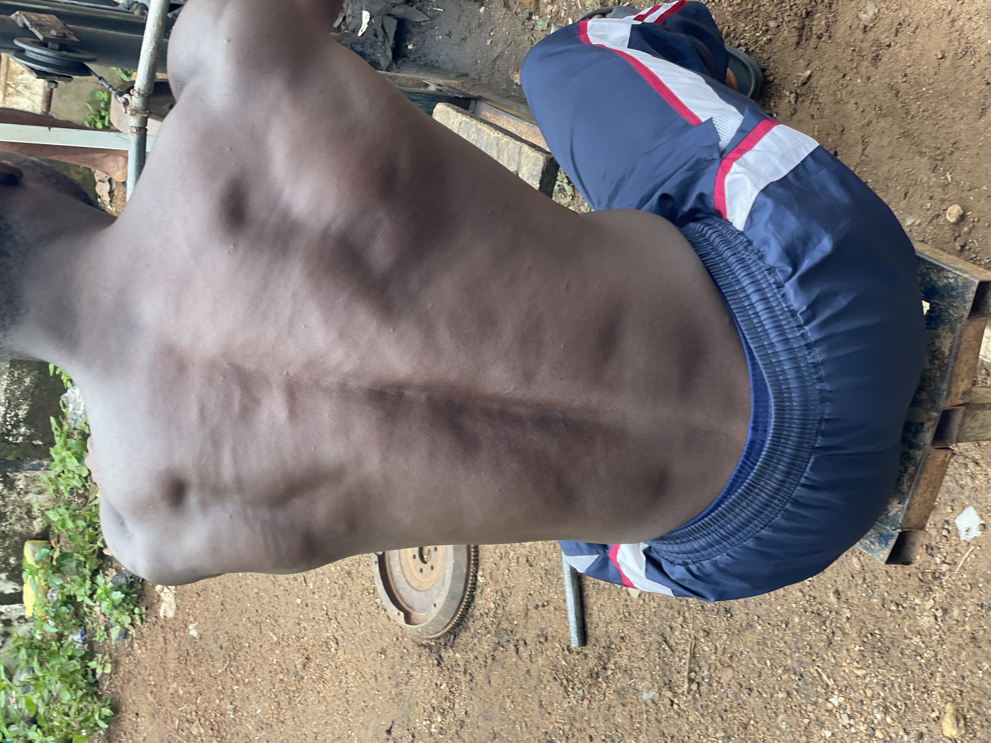 An adult male, with a dark complexion and short, dark hair, is viewed from the back, bare-chested, revealing prominent musculature of the upper back, shoulders, and spinal erectors. He is seated on a rudimentary, rusty metal bench, gripping a horizontal metal bar with both hands, which is connected to a makeshift weightlifting apparatus with a pulley system partially visible on the right side of the frame. He wears dark blue athletic pants with distinct red and white stripes along the sides. The ground consists of reddish-brown earth with scattered small stones and debris. In the background, a patch of green vegetation grows against a dark wall, with discarded items like yellow plastic visible within. A rusty circular metal object, resembling a flywheel, and a short metal pipe are on the ground to the left. The scene depicts an outdoor training environment in Akwanga, Nigeria.