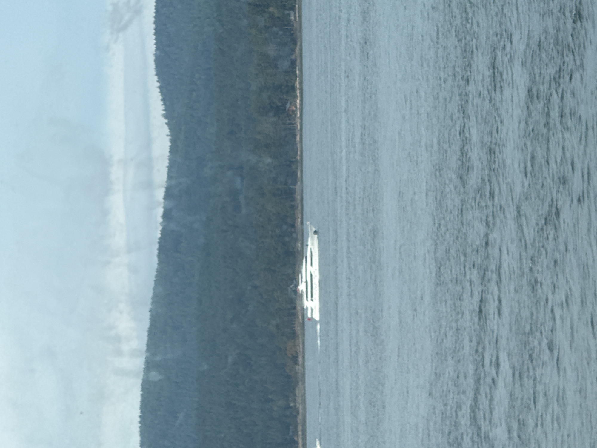 A white passenger ferry boat travels across a body of water. The ferry is positioned in the middle ground of the image, moving from left to right. In the background, a dense, dark green forest covers rolling hills, extending to the horizon under a light, overcast sky. The water is calm with gentle ripples. The scene depicts a tranquil environment within the Southern Gulf Islands Electoral Area, Canada.