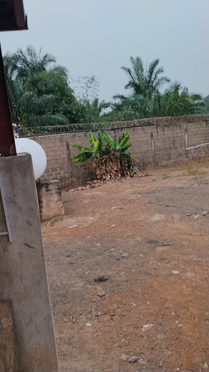 The scene depicts an outdoor, unpaved area in Enyibichiri, Nigeria, under an overcast sky. A concrete pillar with an attached dark-colored metal beam partially frames the left side of the image. Behind this pillar, a white spherical tank rests on a concrete support structure. The ground consists of reddish-brown, dry earth scattered with small rocks and minor debris. In the midground, a cluster of banana plants with green leaves is visible, surrounded by a large accumulation of dried, brown leaves at its base. A light brown concrete block wall, topped with barbed or razor wire, runs horizontally across the background. Behind the wall, dense green tropical vegetation, primarily palm trees, is visible against the light grey sky. No individuals are present in the scene.