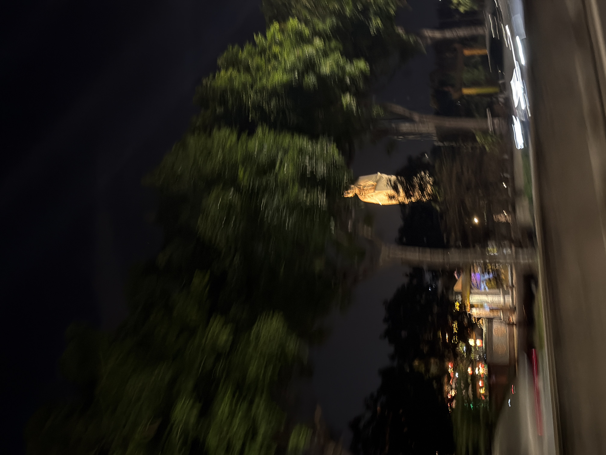The image captures a nighttime scene in Đà Nẵng, Vietnam, possibly from a moving vehicle given the motion blur. The primary subjects are trees with lush green foliage, set against a dark, unlit sky. In the mid-ground, a statue, appearing to be a person in a draped garment, is illuminated by a warm light. The statue is centrally positioned within the frame, suggesting it's a significant element of the landscape or a monument.
Further in the background, there are blurred indications of buildings and structures with decorative lighting. These lights, appearing as streaks of red, yellow, and white, suggest an urban environment, perhaps a street or a plaza. The reflections on a surface, possibly a window or water, add a layer of complexity to the scene, with distorted images of lights and trees.
The overall mood is somewhat surreal due to the motion blur and the contrast between the dark night and the artificial lights. It appears to be a calm night with no obvious weather events. The presence of the statue and the illuminated structures hint at a location that is culturally or historically significant, or at least a place with public art and evening activities. No visible text is discernible in the image.