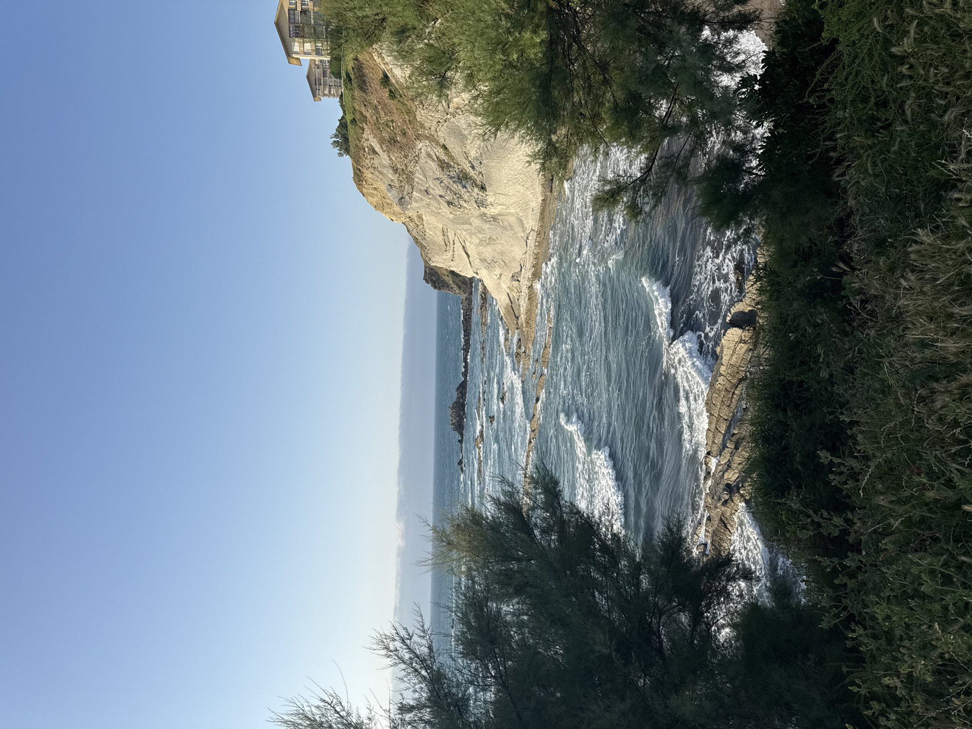 This is a photograph of the coastline near the city of Sopela, Spain, on a clear, sunny day. The image captures a scenic view of the ocean meeting a rugged cliff face. In the foreground, dense green foliage frames the scene, with a few sparse trees. The ocean is a deep blue, with white waves crashing against a rocky shoreline and scattered rock formations in the water. The cliff face is predominantly light-colored rock, with layers and textures visible. At the top of the cliff, two modern buildings with beige and white facades are situated. The sky above is a clear, pale blue, with a thin band of clouds visible on the horizon over the sea. There are no people or animals visible in the image. The overall impression is one of a natural, coastal landscape with some human development.
