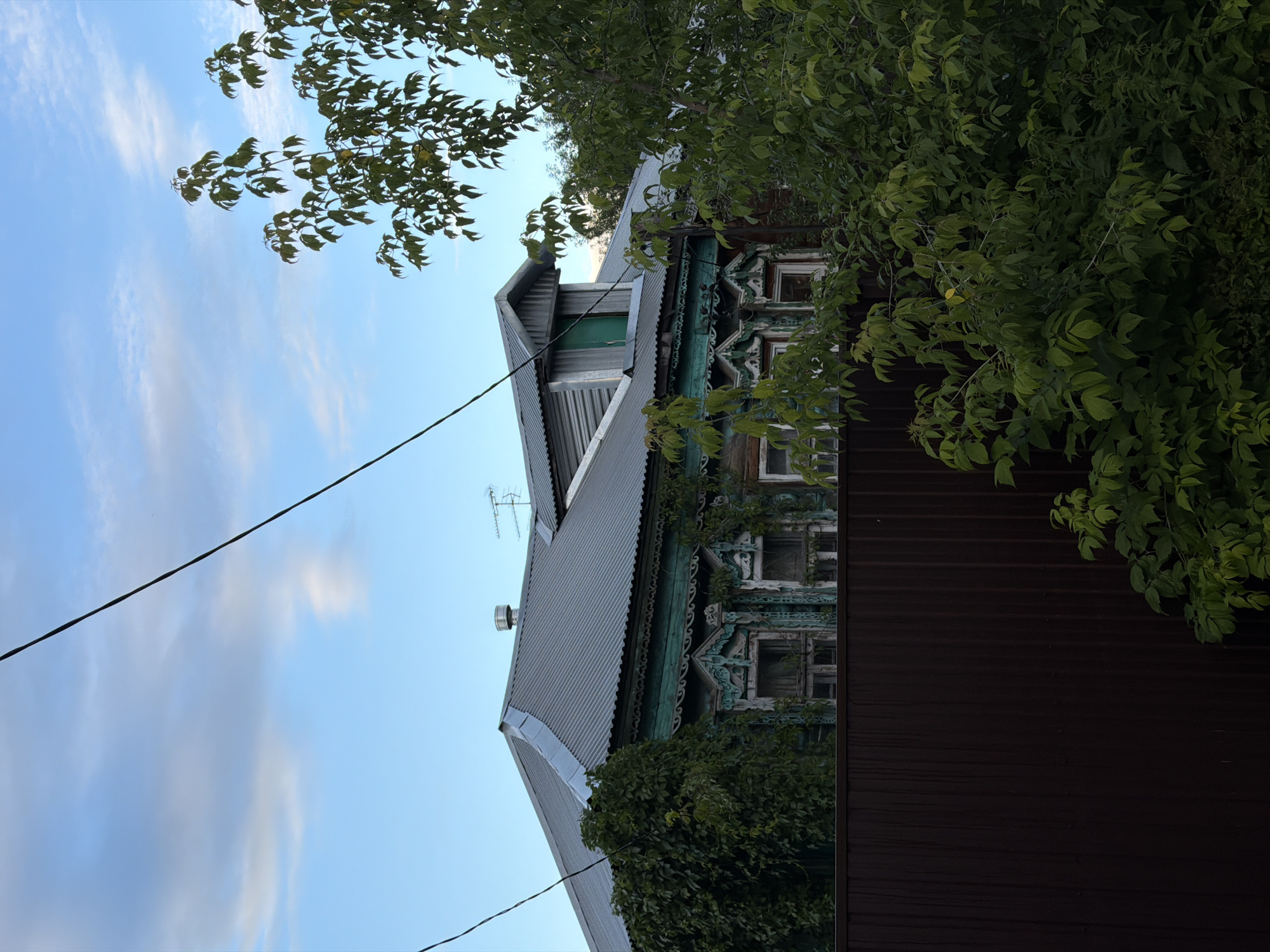 This image captures a vertical view of an old wooden house in Zimyonki, Russia. The house features ornate, carved wooden decorations above the windows, painted in a faded teal and white. The roof is made of corrugated metal, and a chimney is visible on the left side, along with an antenna. Dense green foliage, likely from trees or vines, covers parts of the house and frames the scene, suggesting a warm season. The sky above is a clear blue with some wispy white clouds. A dark power line stretches diagonally across the frame, from the upper left to the lower center. The overall impression is one of rustic charm and age, with the natural elements interacting with the man-made structure. The lighting suggests it is daytime, likely afternoon or early evening. There is no visible text in the image.