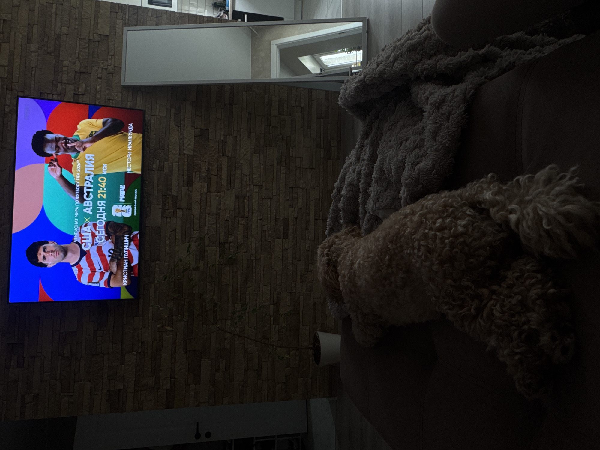An indoor shot features a television displaying a soccer match, with two players shown. The left player wears a red and white striped jersey, and the right player wears a yellow jersey. Text on the screen is in Russian and indicates a match between USA and Australia. To the left of the television is a stacked stone wall. In the foreground, a fluffy, light-brown dog is lying on a brown sofa covered with a grey blanket. A tall, thin floor mirror stands to the right of the television. The environment appears to be a living room. No specific location in Saratov, Russia can be determined from the image.