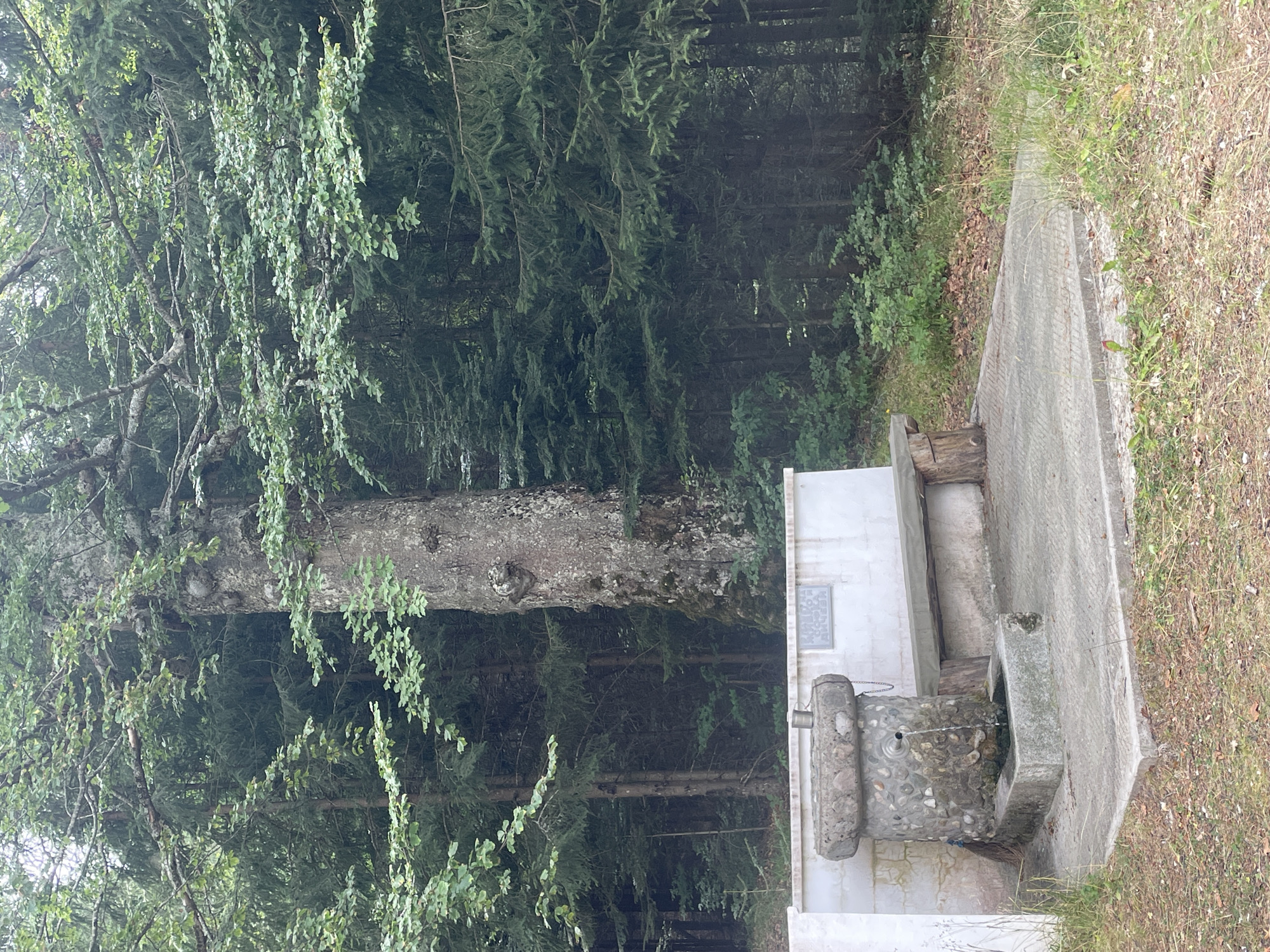 The image depicts a stone fountain with running water, situated in a forest clearing. The fountain is made of irregular stones and has a basin in front where the water collects. To the right of the fountain, there is a wooden bench with a rough-hewn log as a support. Behind the fountain and bench is a white tiled structure, possibly a retaining wall, with a dark plaque bearing an inscription. The background is dominated by dense forest, with tall trees, some of which appear to be firs, and a large, old, gnarled tree trunk prominently displayed to the left of the fountain. The ground in front of the fountain is paved with concrete slabs. The scene suggests a natural resting spot in a forested area, likely a village spring.
This particular fountain is located in the village of Manastir, Bulgaria, a place known for its numerous springs and natural beauty. The setting is serene and untouched, with the forest providing a natural canopy. The fountain itself is rustic, reflecting a traditional approach to water sourcing. The presence of the bench indicates that it is a place where people can stop and refresh themselves, perhaps during a hike or a visit to the village. The overall impression is one of a peaceful, natural environment, integrated with a functional element for human use.