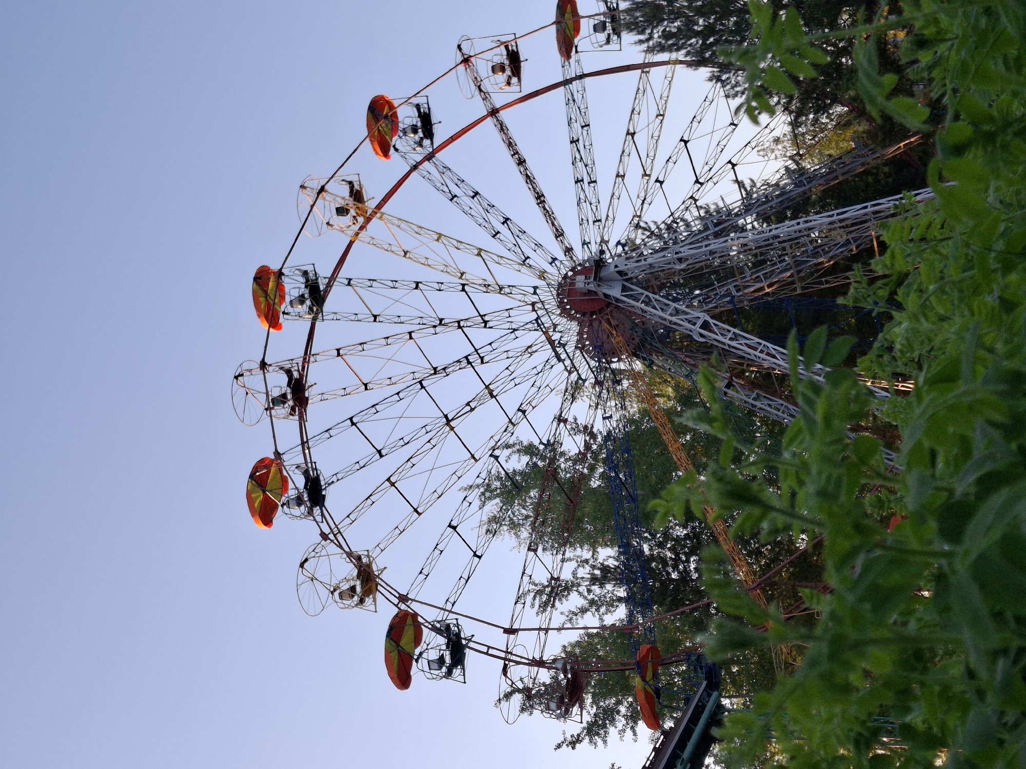 The image shows a Ferris wheel in the city of Chaikovsky, Russia. The wheel is constructed of metal and has a number of passenger cars attached to the perimeter. Each car has a sunshade-like umbrella. The sky is visible through the wheel and in the background and is a clear blue. The image is partially obscured by trees and bushes in the foreground and along the right edge of the frame.