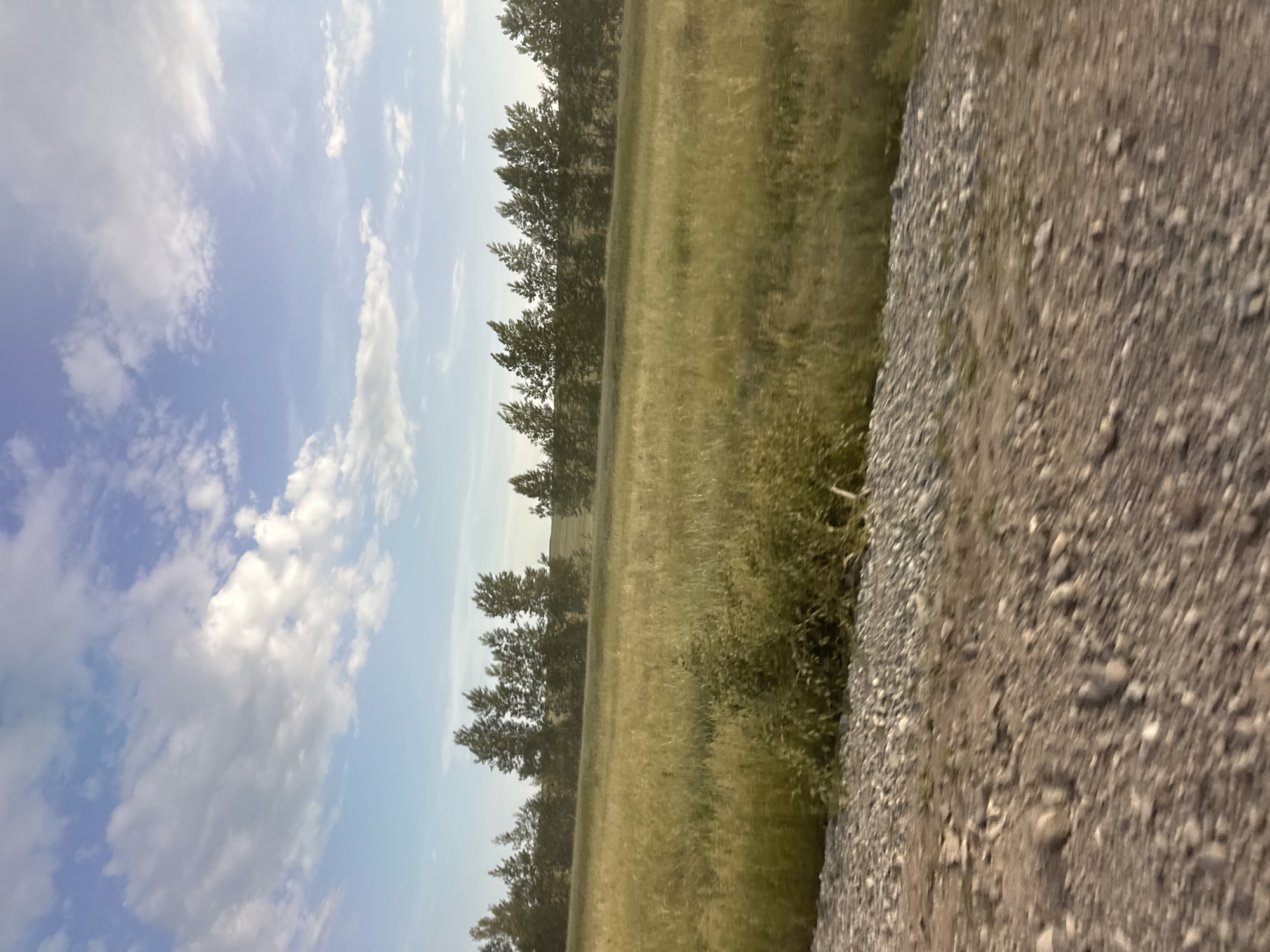 This media file depicts a landscape scene under a partly cloudy sky. The image is oriented vertically, suggesting it may have been taken with a phone or camera held in portrait mode. The foreground is dominated by a gravelly path or area, filled with small to medium-sized stones. To the left of the gravel, a field of tall, dry grass stretches into the distance, appearing golden and illuminated by natural light. A line of trees, mostly dark green, forms a border between the field and the sky. The sky itself is a pale blue, with scattered white clouds, indicating fair weather. The lighting suggests it is daytime, possibly late afternoon or early morning due to the angle of the sun casting a soft glow. There is no visible text in the image. The overall impression is of a rural or natural setting, possibly on the outskirts of a settlement, with elements of both natural terrain and a man-made pathway. The scene conveys a sense of tranquility and open space.