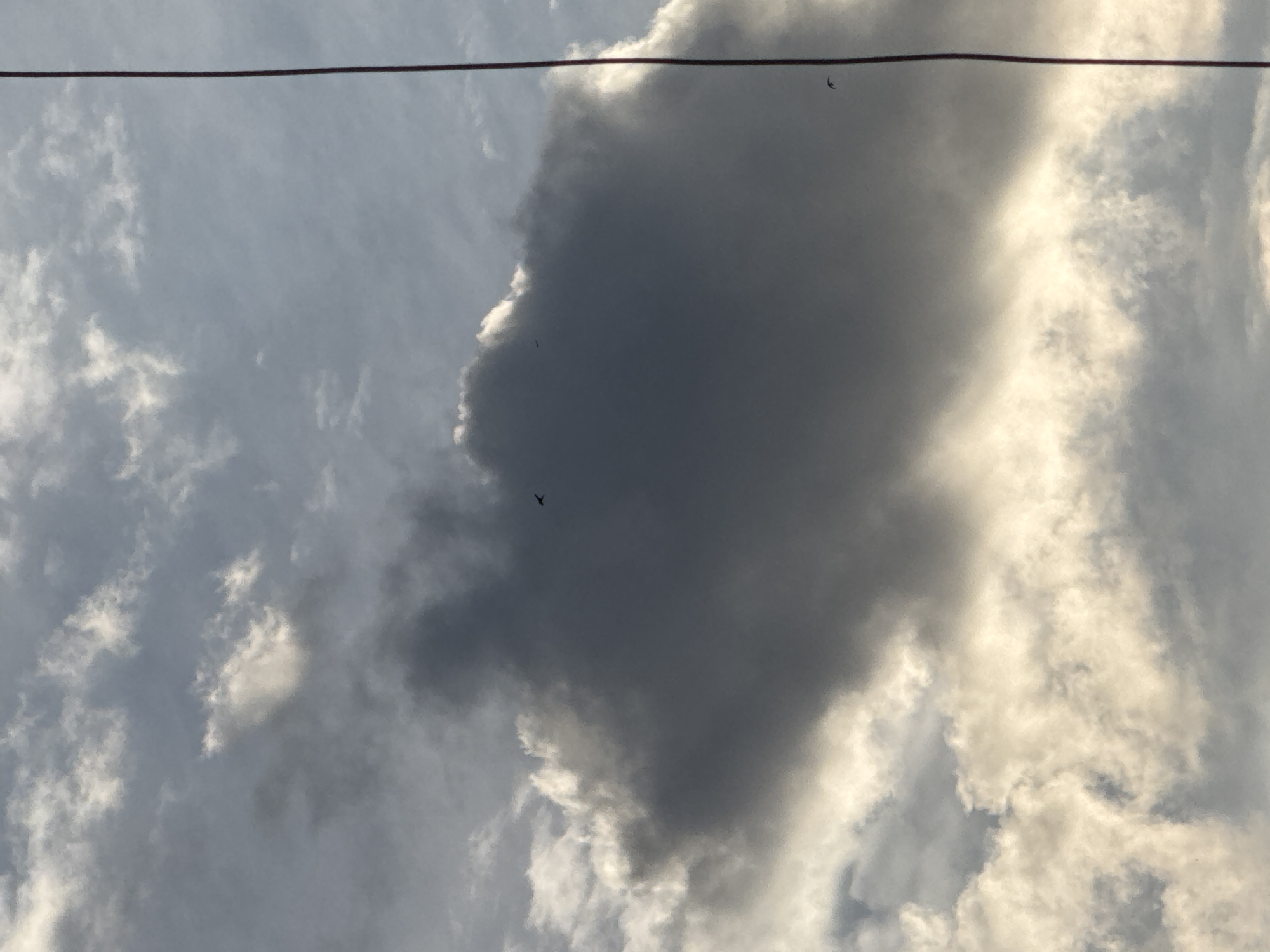 The image depicts an expansive sky dominated by clouds of various shades and densities. A large, dark grey cloud occupies the central and left-mid sections, exhibiting a sharp, bright white edge on its right and bottom where it catches the sunlight. Surrounding this dark mass are lighter, whiter clouds, some appearing wispy and diffuse, while others are brightly illuminated, suggesting the sun is low in the sky, either early morning or late afternoon.
A dark, thin wire or power line stretches horizontally across the top third of the frame. Several small, dark silhouettes, identifiable as birds, are visible in flight against the brighter areas of the sky and clouds. One bird is near the wire on the far left, another slightly below the wire on the far right, and a third is positioned lower-mid left, near the edge of the dark cloud.
The overall scene captures a moment of dynamic sky, with strong contrast between the shadowed and sunlit clouds. There are no visible location cues or text within the image.
