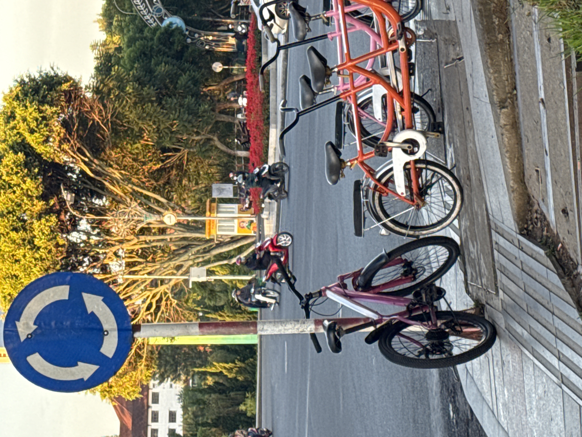 The image captures a street scene in Da Lat, Vietnam, dominated by a blue roundabout sign with white arrows. In the foreground, a pink bicycle is parked on a textured sidewalk, leaning against a pole. Behind it, a tandem bicycle with red and pink frames is also parked. Across the street, several individuals are riding motorcycles, including one in red and another in black. Red flowers line the median strip of the road. A building with white walls and red roofing is visible in the background, along with lush green trees. The lighting suggests it is either early morning or late afternoon.