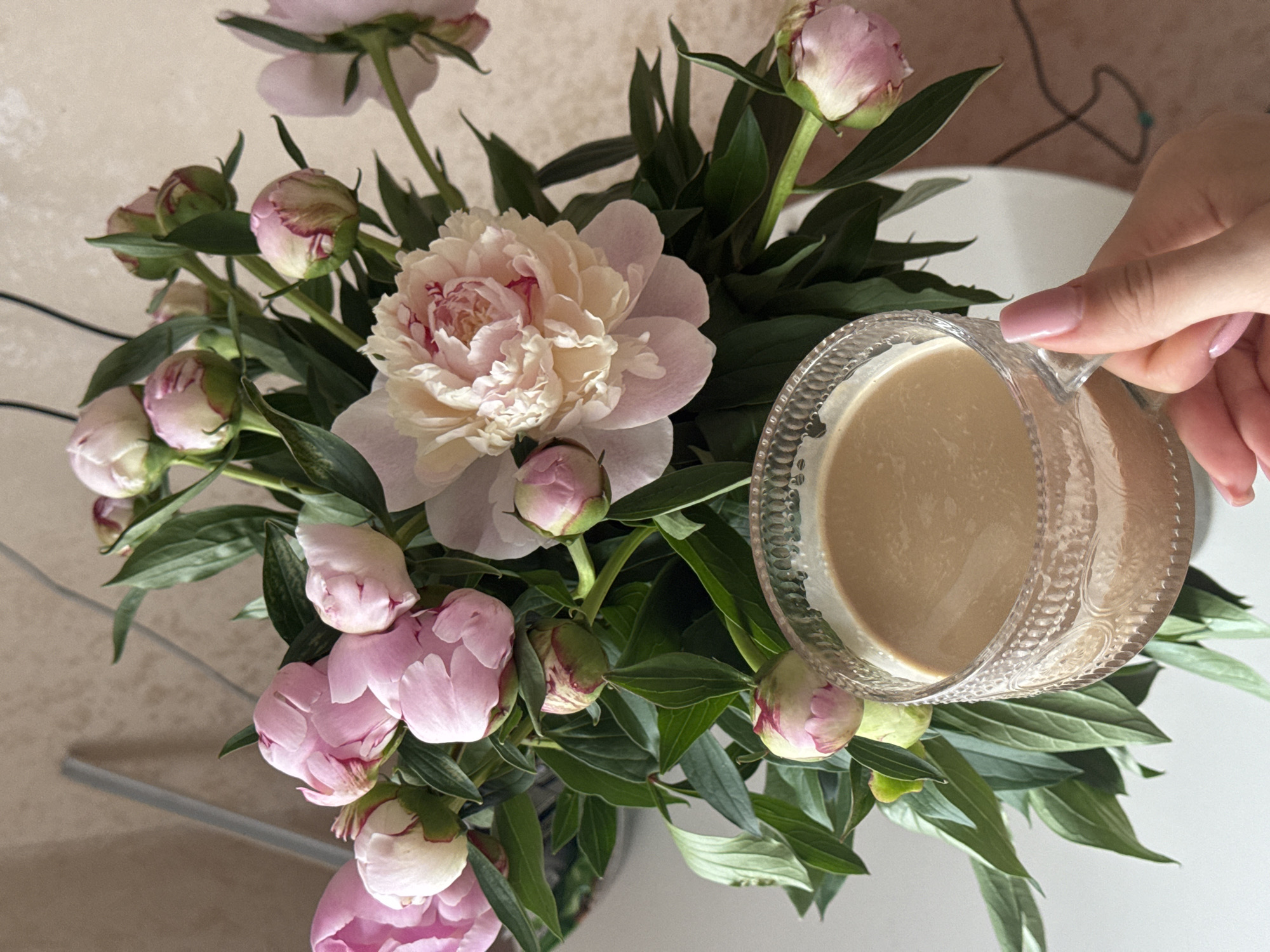 A close-up shot features a bouquet of pink peonies and a clear glass cup of coffee placed on a white surface. The flowers, in various stages of bloom, are abundant with green foliage. The coffee in the glass exhibits a light brown color, possibly indicating it contains milk or creamer. A woman's hand, with neatly manicured pink nails, is seen holding the cup. The background consists of a textured, beige wall. The image is devoid of any specific indicators of its location in Chaikovsky, Russia.