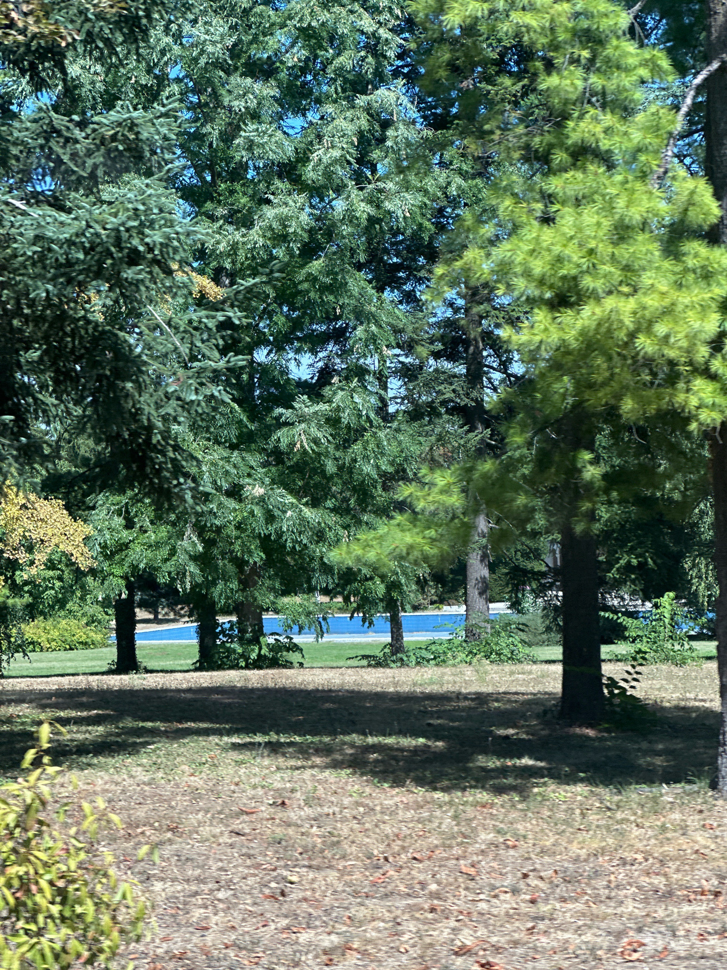 This image depicts a sunlit outdoor scene with lush green trees in the foreground, casting shadows on a dry, grassy ground. In the background, a bright blue swimming pool is visible, surrounded by green grass and more trees. The scene appears to be a park or a residential area with recreational facilities. The image was captured on a clear day, with the sun high in the sky. The environment is natural and serene, suggesting a place for relaxation and outdoor activities.
The image is a photograph taken in the city of Belgrade, Serbia. Specifically, it shows a part of the Belgrade Fortress complex, which is a historical site and a popular recreational area. The swimming pool in the background is likely an amenity within the fortress grounds, offering visitors a place to cool off during warmer months. The trees are typical of the region, and the dry grass suggests it is either late summer or early autumn. There are no people or animals visible in the image. The scene is peaceful and undisturbed, offering a glimpse into the natural beauty and recreational opportunities available in Belgrade.