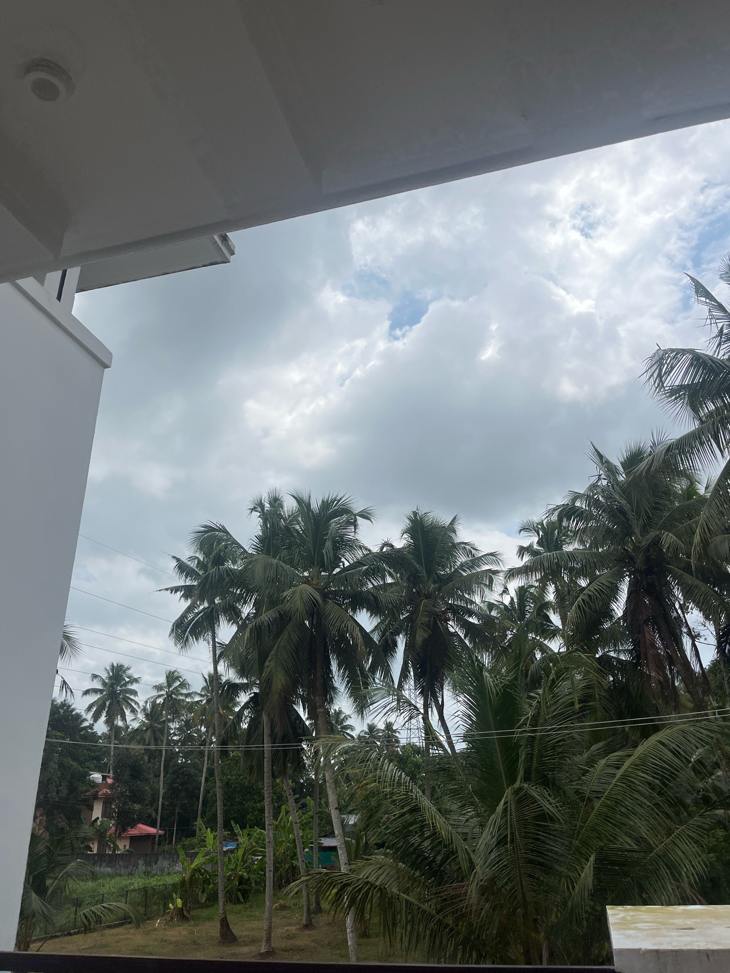 This image shows an overcast sky with scattered clouds, seen through a canopy of palm trees. A white building is visible on the left, partially obscuring the view. In the background, several houses are nestled amongst lush greenery, and a few power lines crisscross the frame. The scene appears to be a residential area in Kattanam, India.