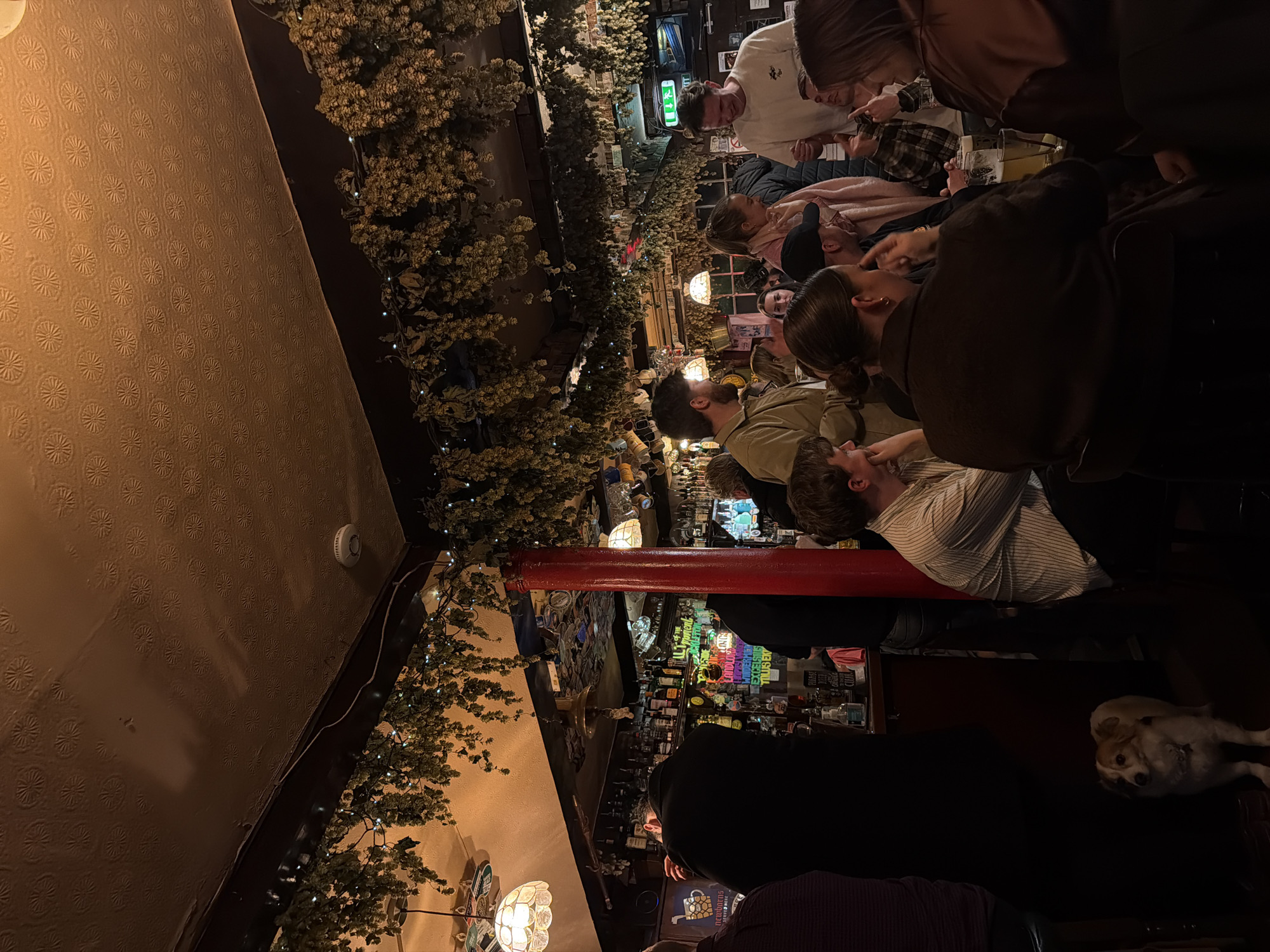 The scene depicts the interior of The Malt & Hops pub, located at 450 Leith Walk in the City of Edinburgh, United Kingdom. The establishment is dimly lit and crowded with approximately 15-20 individuals, predominantly adults, engaged in social interaction and consuming beverages. The ceiling, light brown and textured with a repeating circular pattern, is extensively adorned with garlands of dried hops and small fairy lights. A white smoke detector is visible on the ceiling. In the background, a well-stocked bar displays numerous bottles of spirits, glasses, and various neon and printed signs. A hand sanitizer dispenser is present on the bar counter. A prominent red-painted pillar stands in the mid-ground. Illumination is provided by warm artificial light sources including hanging lamps with patterned shades, bare bulbs, and the bar's neon signage. Individuals are observed standing at the bar and seated at tables, holding glasses of beer and other drinks. Notable subjects include a man in a tan jacket with a beard, a woman with a ponytail and a pink scarf, and a man in a white t-shirt, all appearing to be in conversation. A woman with dark hair tied in a bun is seated with her back to the camera, gesturing with her hand. In the lower-left foreground, a small, light brown and white dog with a collar stands on the dark floor, facing forward.