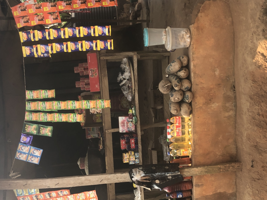 A small roadside shop displays an array of goods. Strings of packaged snacks hang overhead. Shelves hold tinned goods, seasonings, and a plastic container. A stack of coconuts rests beside bottles of cooking oil and soft drinks. Other items wrapped in dark plastic sheeting sit at the bottom of the display. The shop is housed in a simple, possibly clay, structure.