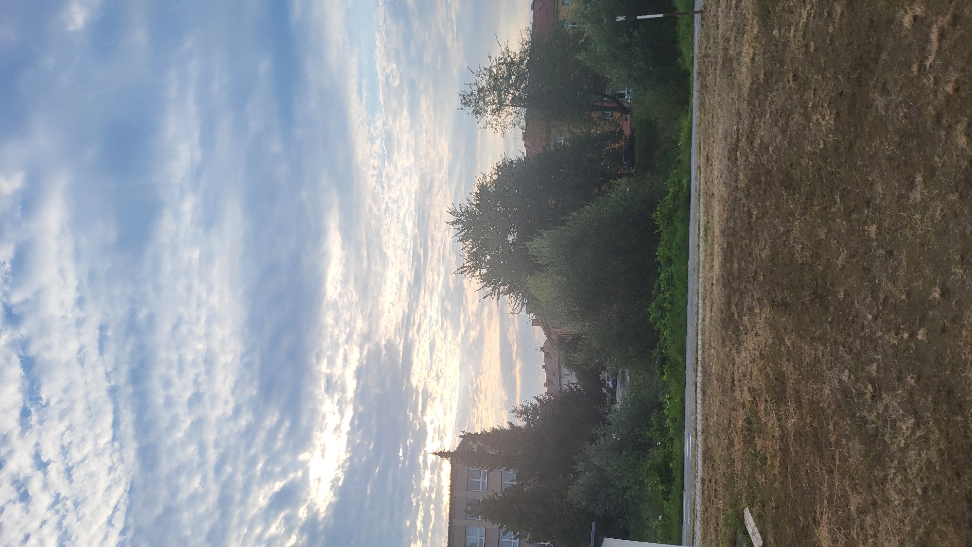 The image depicts a morning sky over a residential area in Prešov, Slovakia. Wispy, textured clouds, tinged with sunlight, fill the upper half of the frame, suggesting an early hour. Below the sky, a row of trees partially obscures multi-story apartment buildings with numerous windows. The buildings have reddish-brown roofs. A paved road runs horizontally across the mid-ground, bordered by green foliage and grass. The foreground is dominated by a field of dry, mown grass, appearing somewhat patchy. A white and red pole, possibly a marker, is visible on the right side of the image. No people are present in the scene.