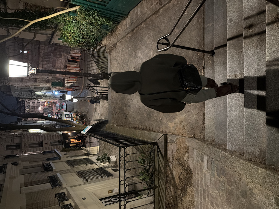 A person in a hooded jacket and boots stands on a set of stone steps with a black handbag over their shoulder. The steps run parallel to a narrow, cobblestone alleyway lined with buildings, some with iron balconies. Overhead, green foliage and streetlights illuminate the scene, casting shadows on the steps and the surrounding architecture. A black metal railing is visible on the side of the alleyway.