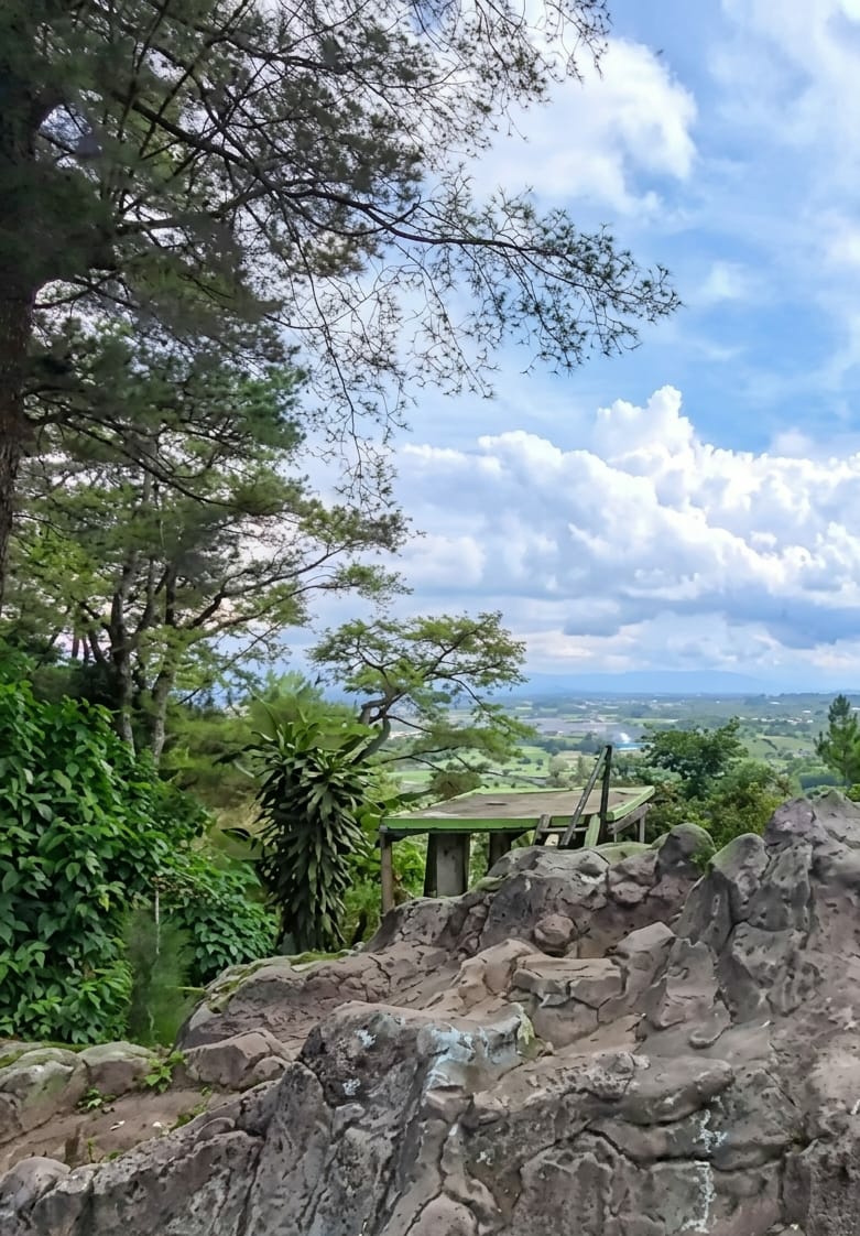 The image captures a panoramic view of Gundaling 2, Indonesia, from a rocky vantage point. In the foreground, a textured, grey rocky outcrop dominates the lower portion of the frame. Beyond this, lush green foliage, including a large leafy plant and dense bushes, cascades down the hillside. Further into the midground, an abandoned, rustic wooden structure with a green-tiled roof sits on stilts, suggesting a former observation deck or shelter. A leaning wooden plank leans against the structure, indicating disrepair.
The background reveals a sprawling landscape of rolling green hills and fields, dotted with scattered trees. In the distance, a hazy, mountainous horizon stretches across the frame, hinting at the vastness of the region. The sky above is a vibrant blue, punctuated by large, fluffy white clouds, creating a dynamic and scenic backdrop. The overall scene evokes a sense of natural beauty and serene, albeit somewhat neglected, rural tranquility. There are no people or animals visible in the image.